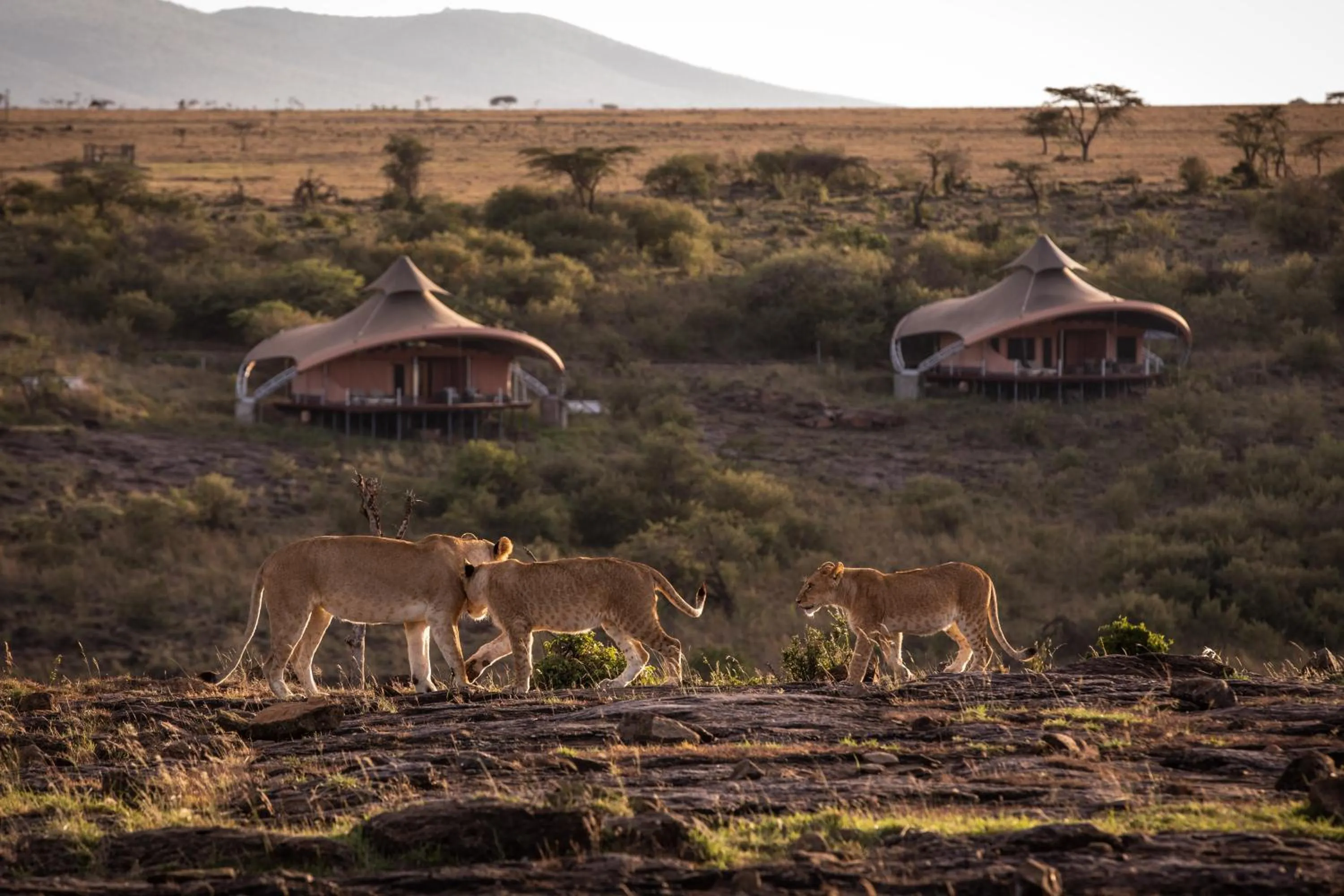 Property building in Mahali Mzuri