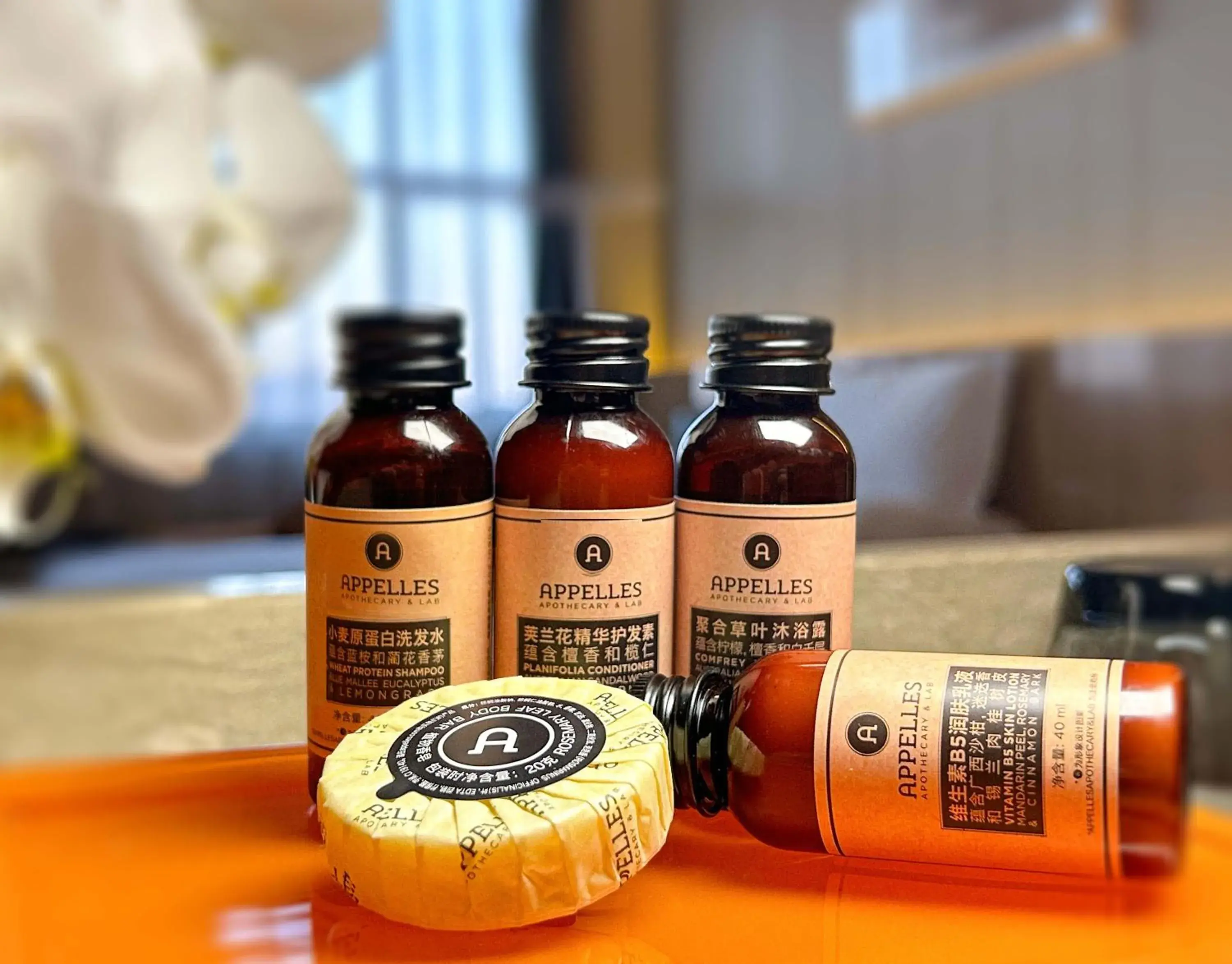 Business Double Room (with 2 breakfast) in Yinchuan Xifujing Hotel Business Double Room (with 2 breakfast) in Yinchuan Xifujing Hotel