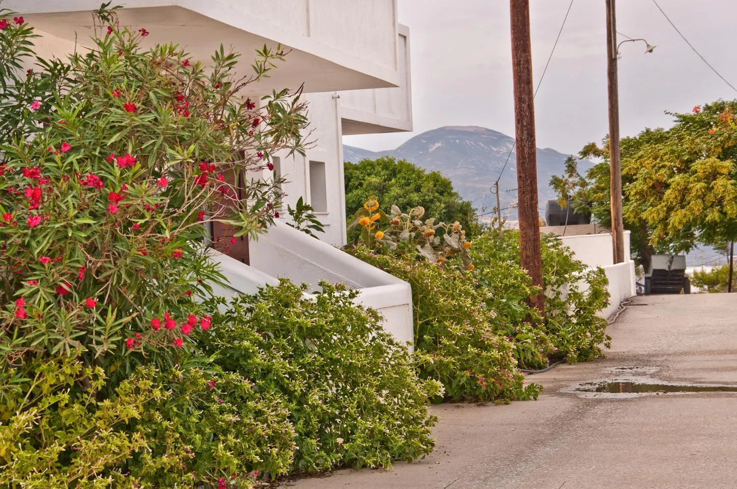 Property building in Christina Rooms