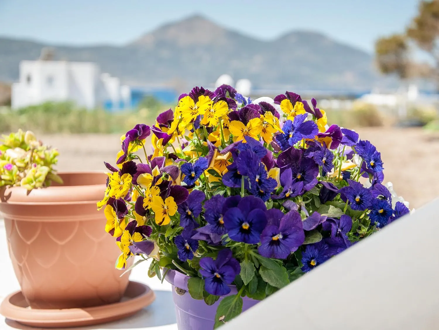 Balcony/Terrace in Christina Rooms