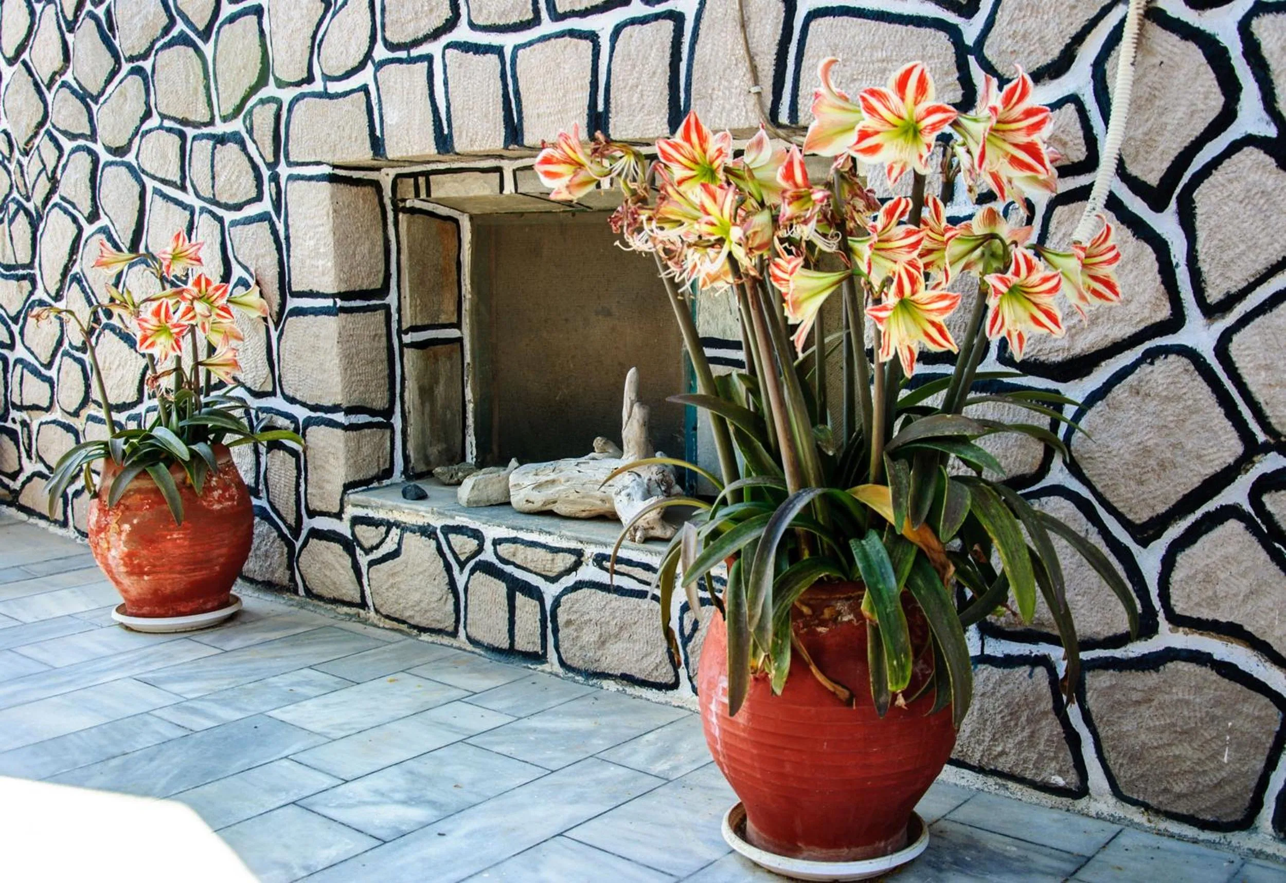 Garden in Christina Rooms