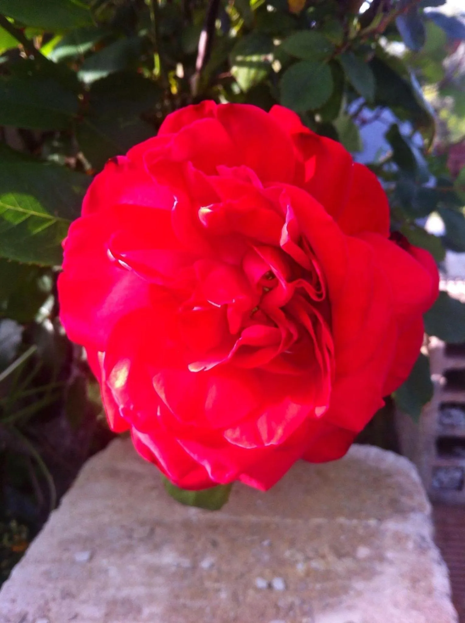 Other in Azienda Agricola B&B Macchiaria