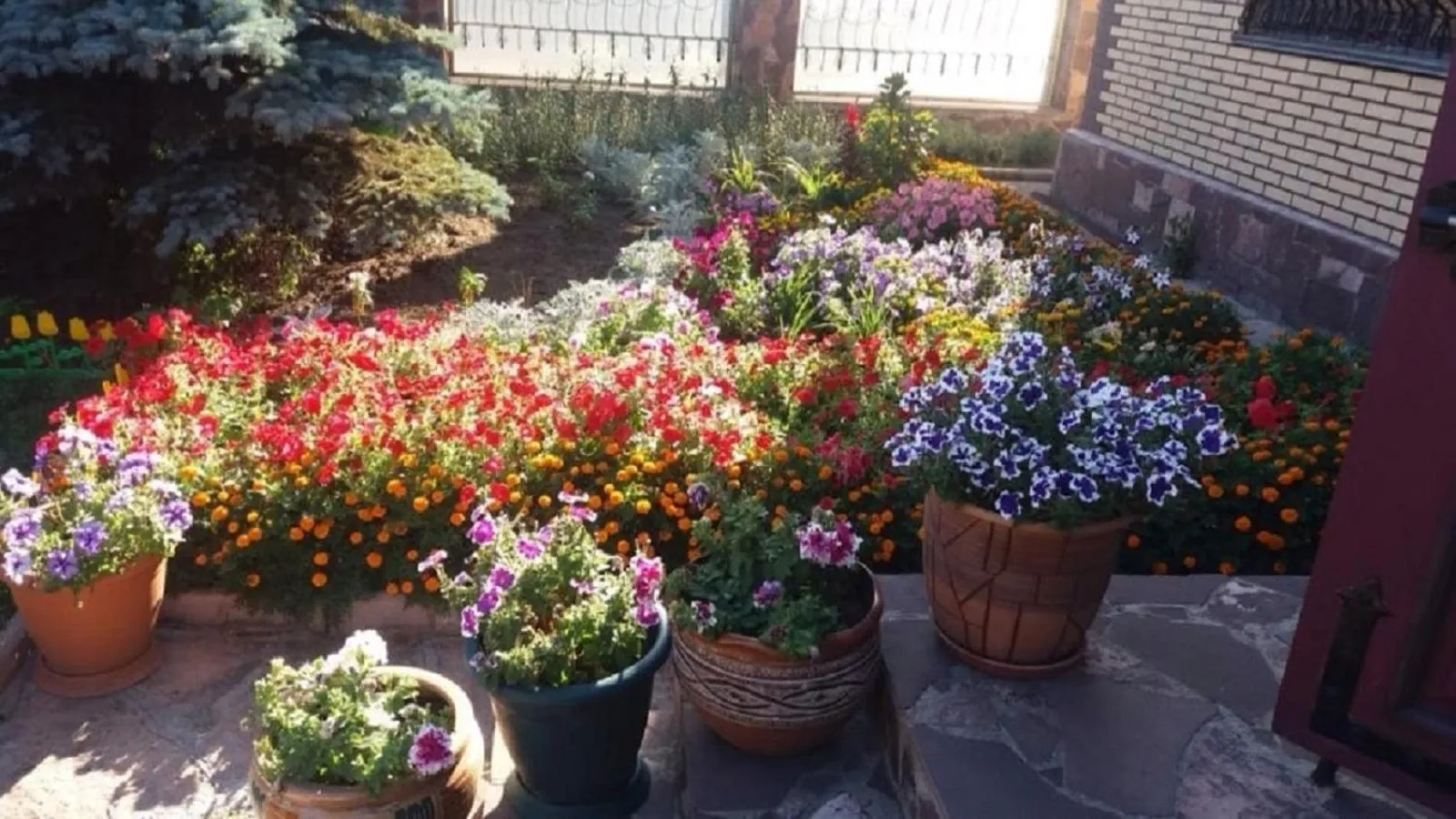 Garden in Hotel Miss Mari