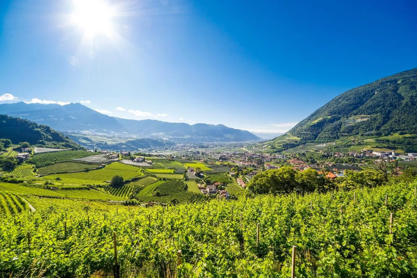 Natural landscape in Ruster Resort