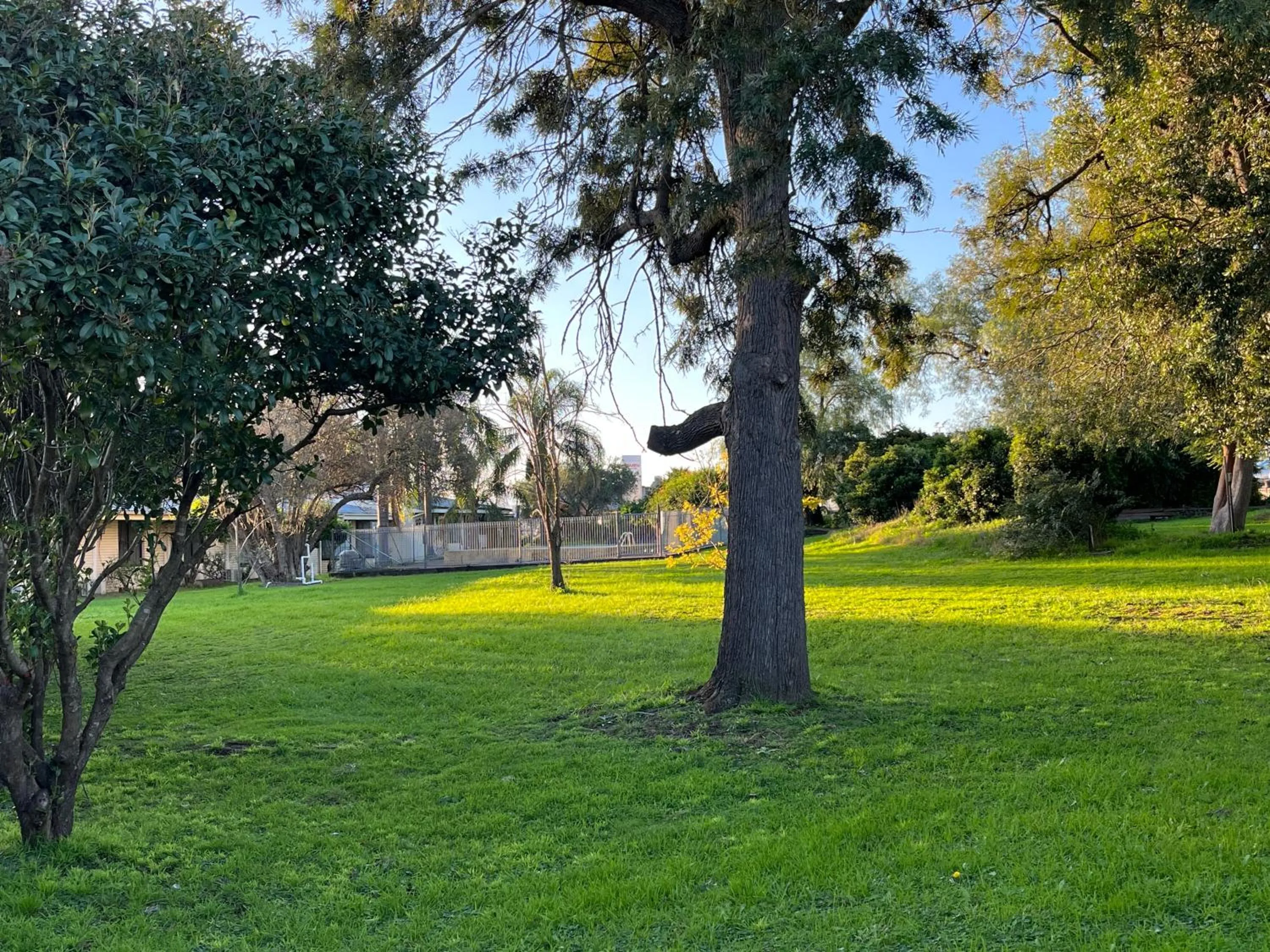 Garden in Airlie House Motor Inn