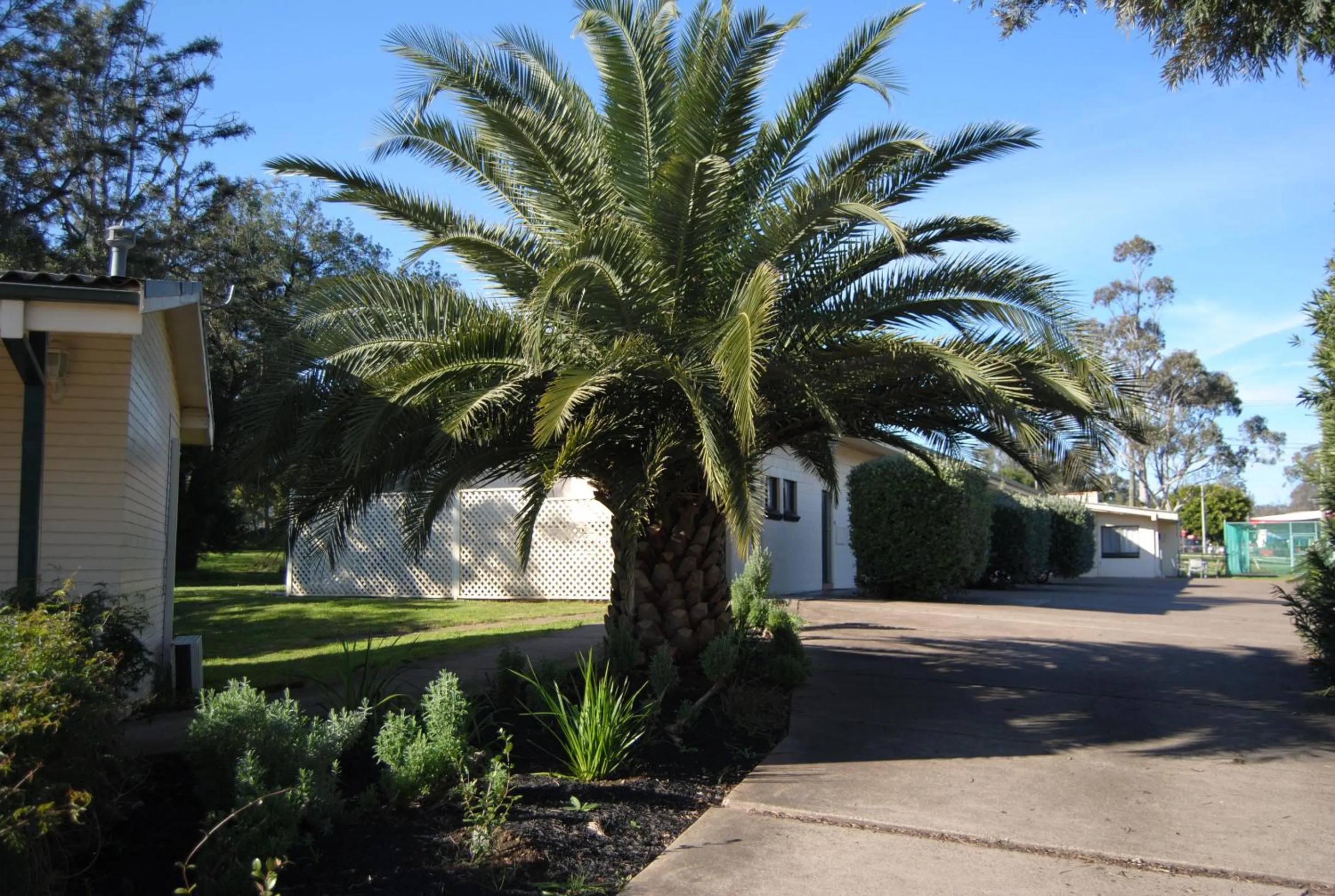 Garden view in Airlie House Motor Inn