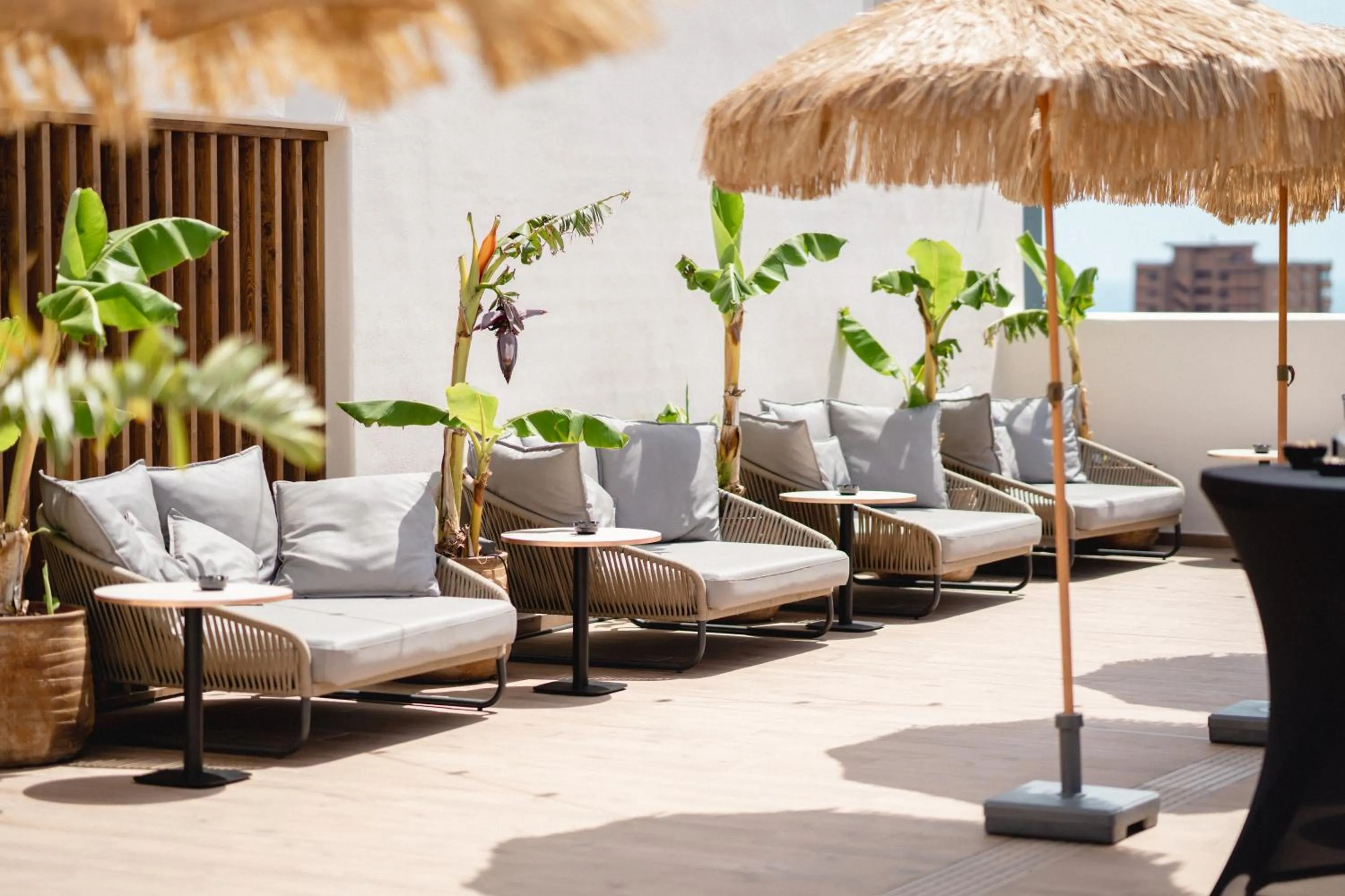 Lounge or bar in Hotel Primavera Park