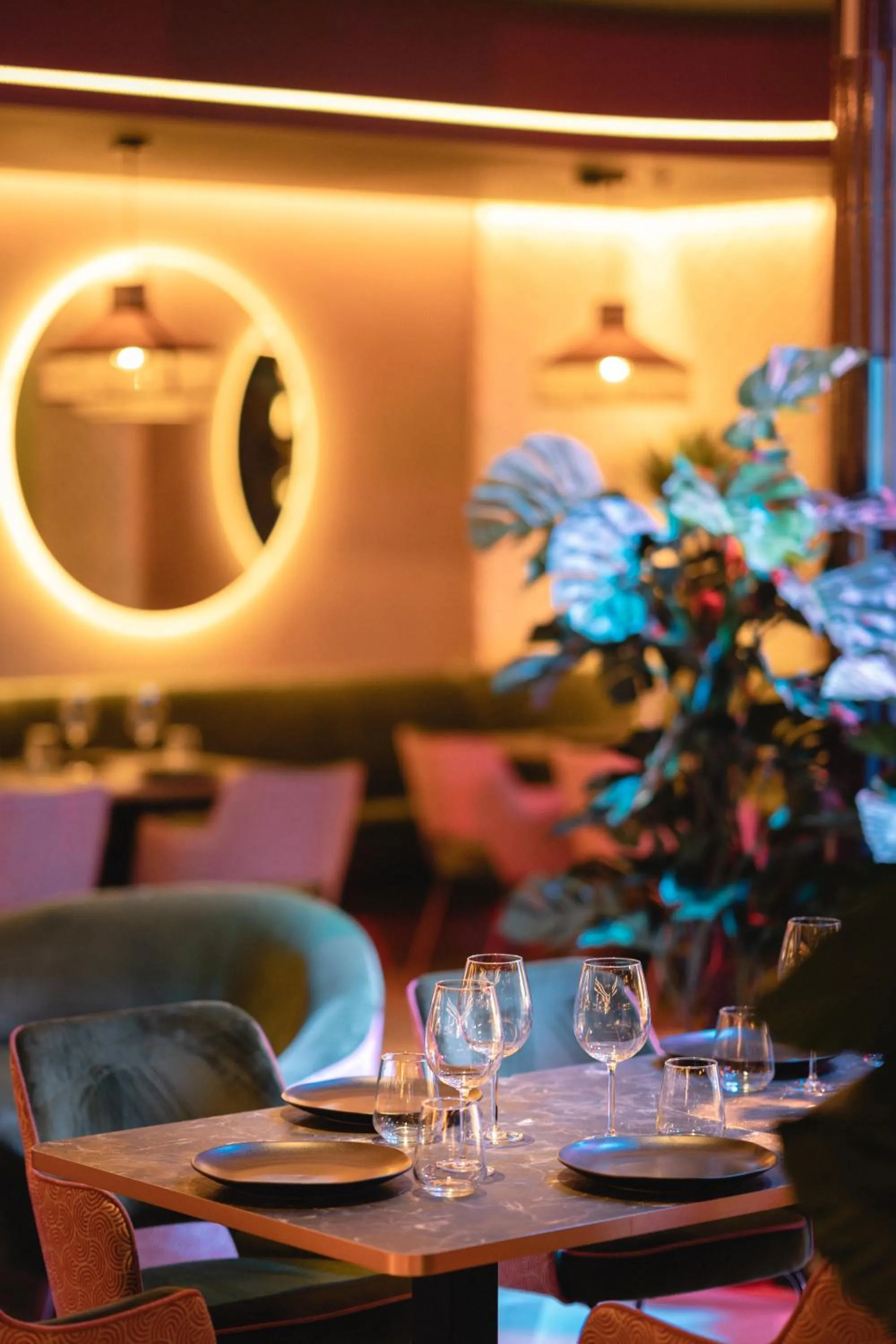 Restaurant/places to eat in Hotel Primavera Park