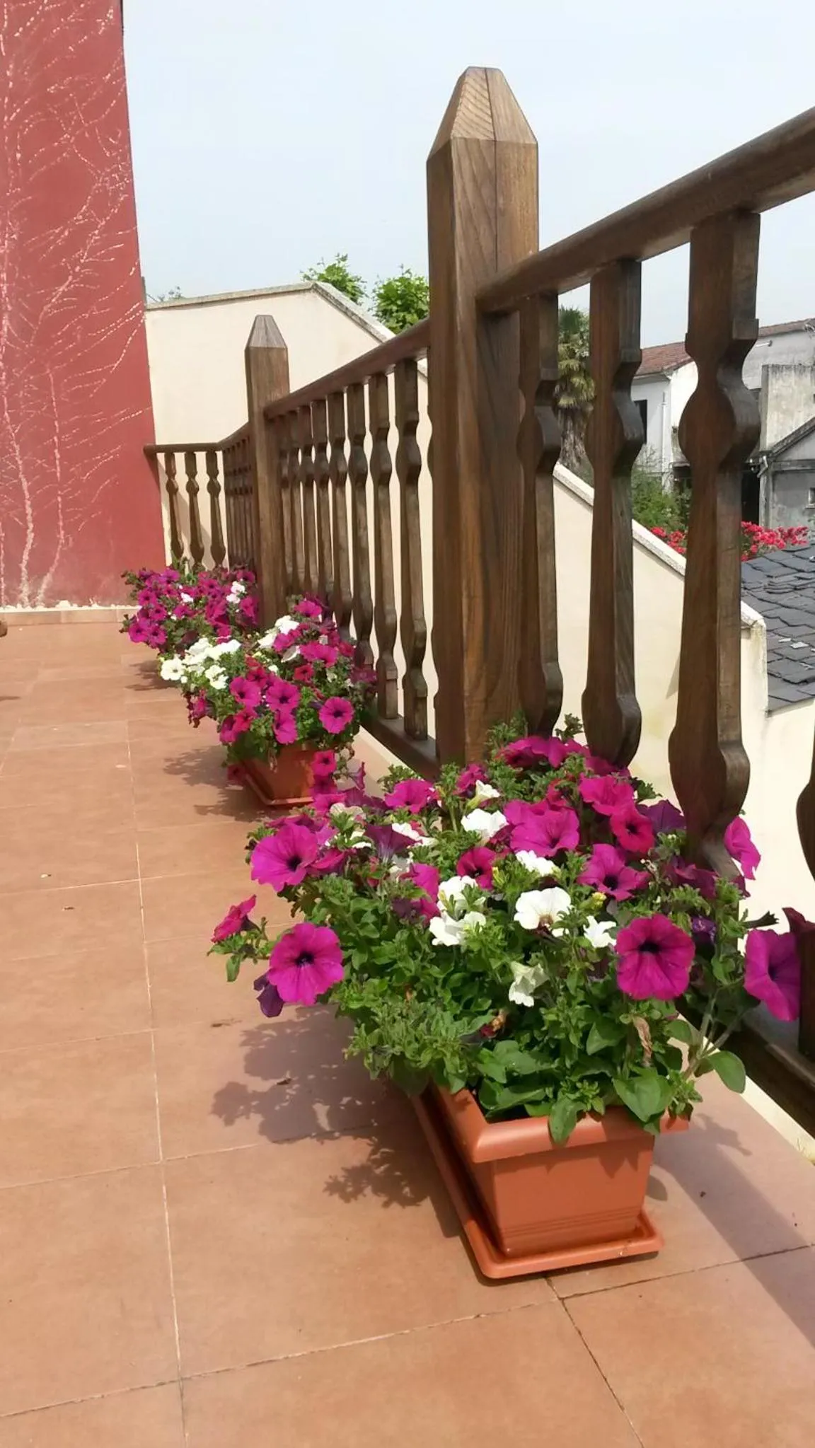 Day in La Casona de Sarria