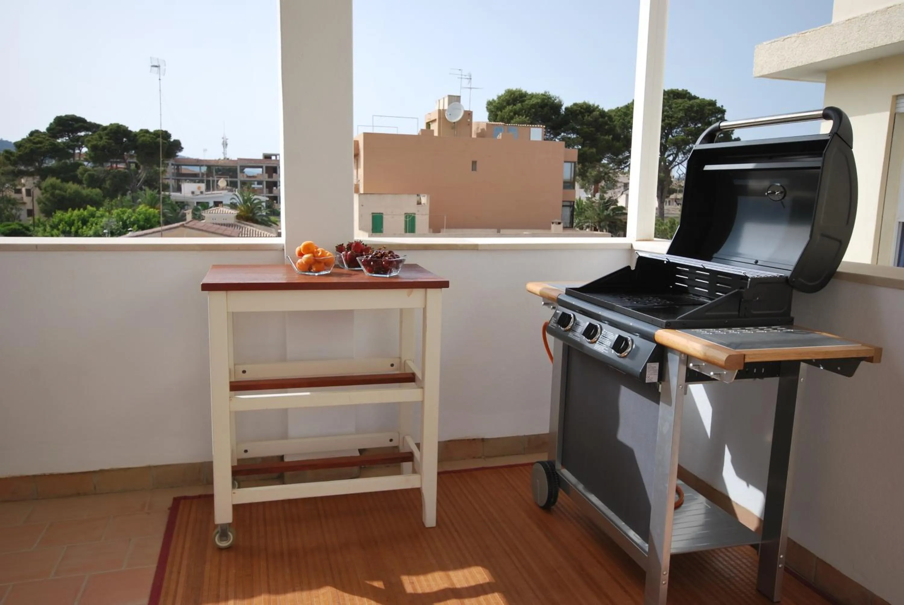 BBQ facilities in Apartamentos Alborada