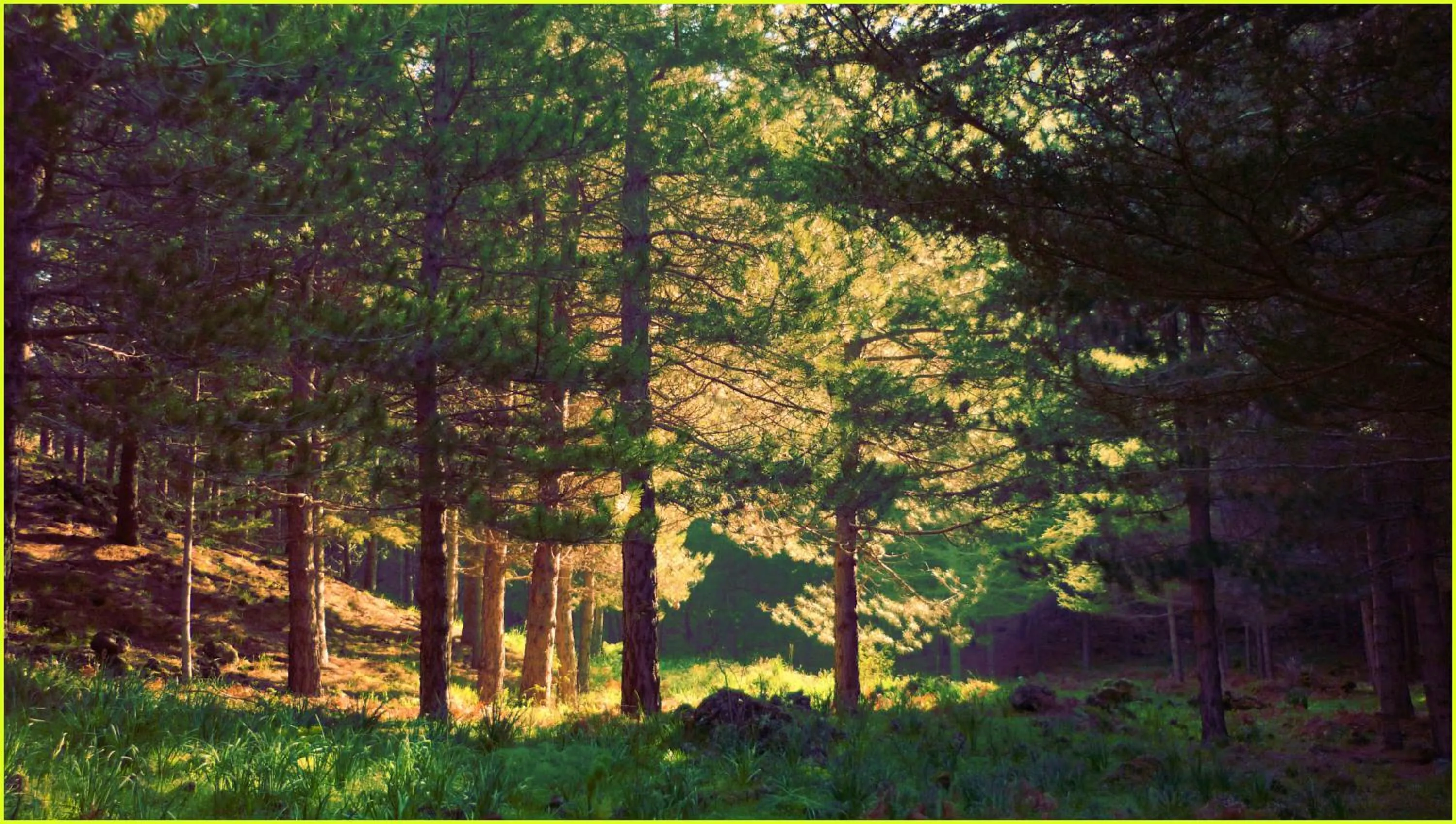 Hiking in Etna B&B La casa di Pippinitto