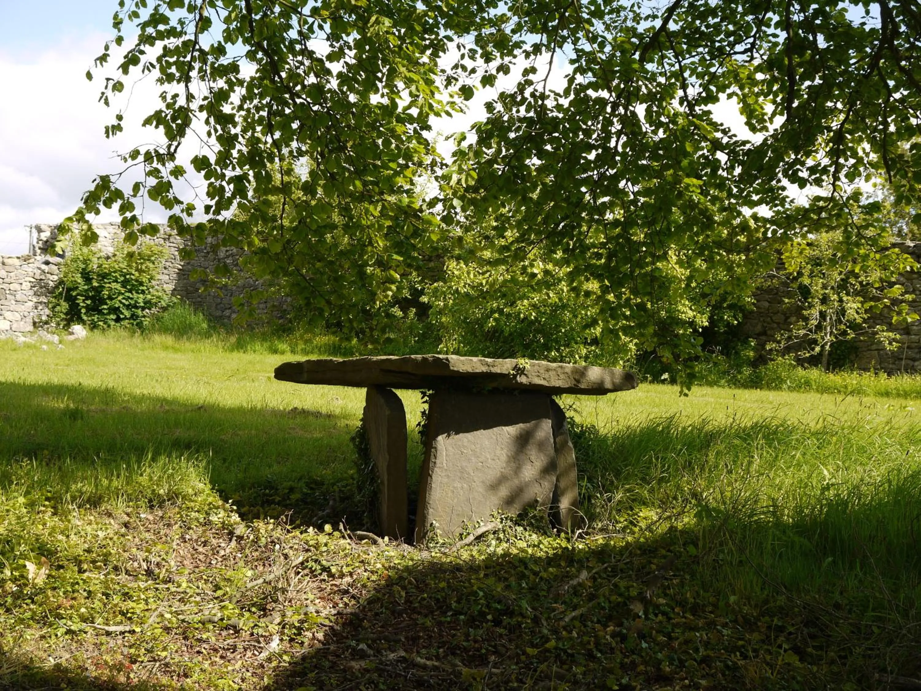 Garden in The Carriage Houses at Beechpark House