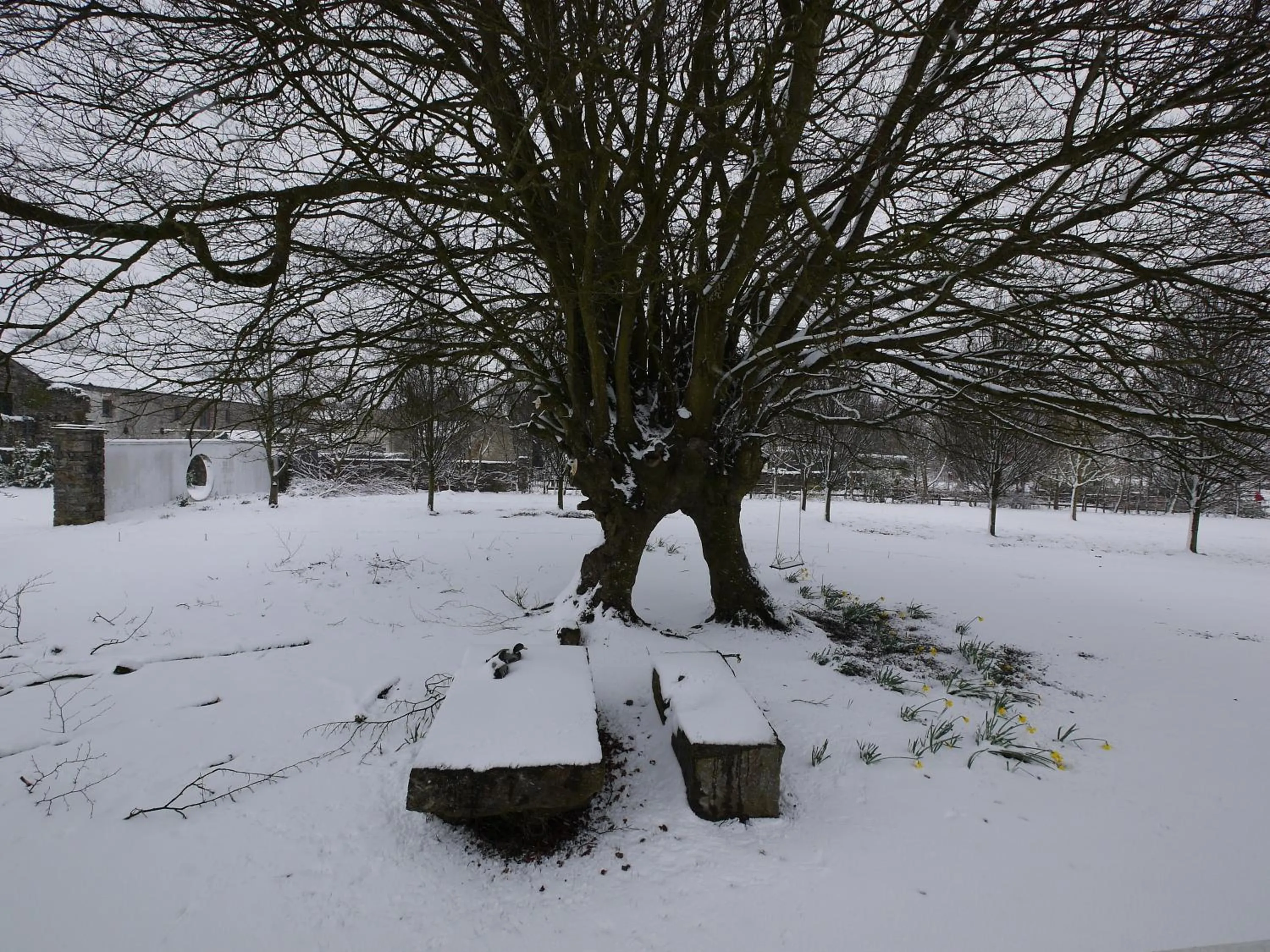 The Carriage Houses at Beechpark House