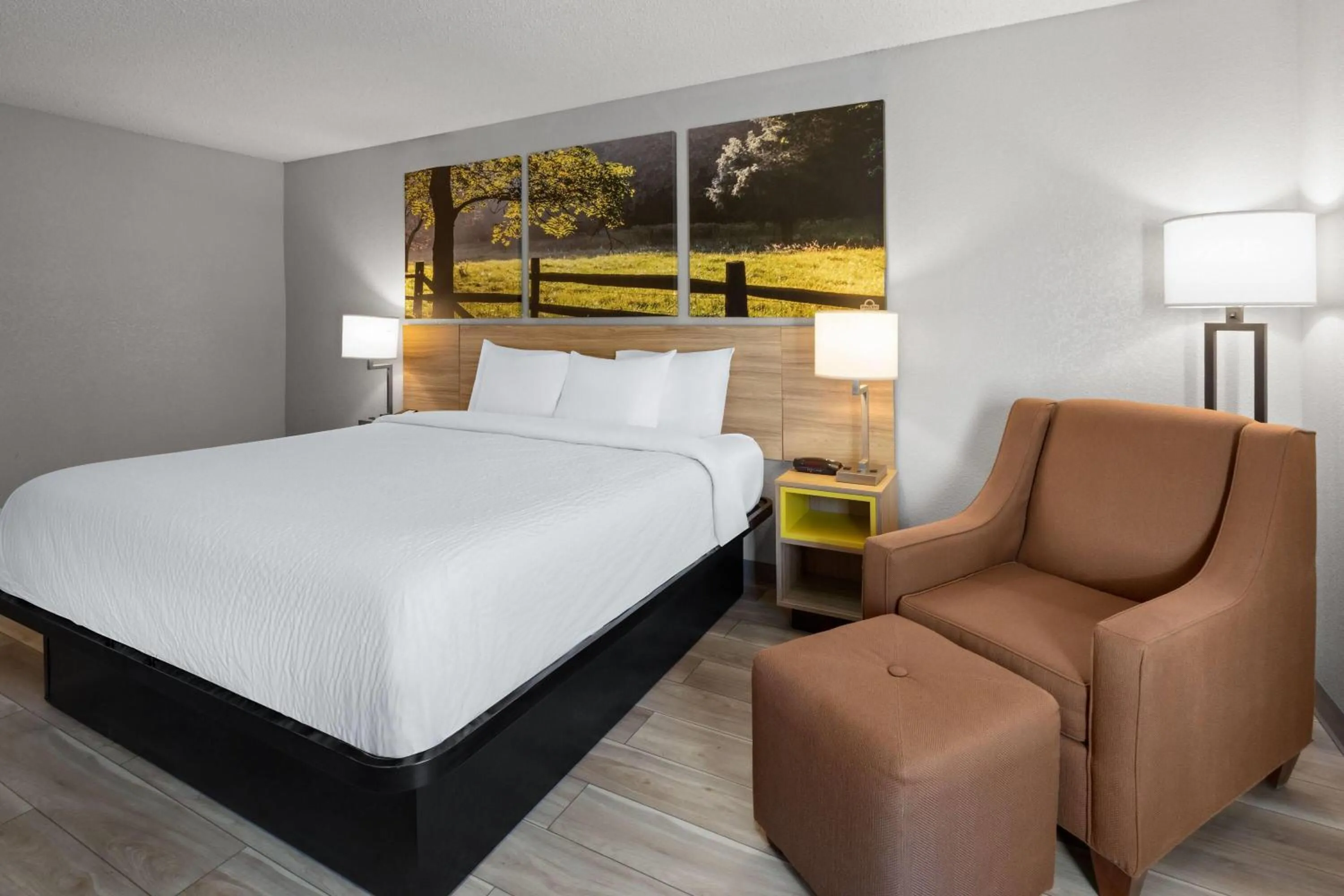 Photo of the whole room, Bed in Days Inn by Wyndham Blairsville