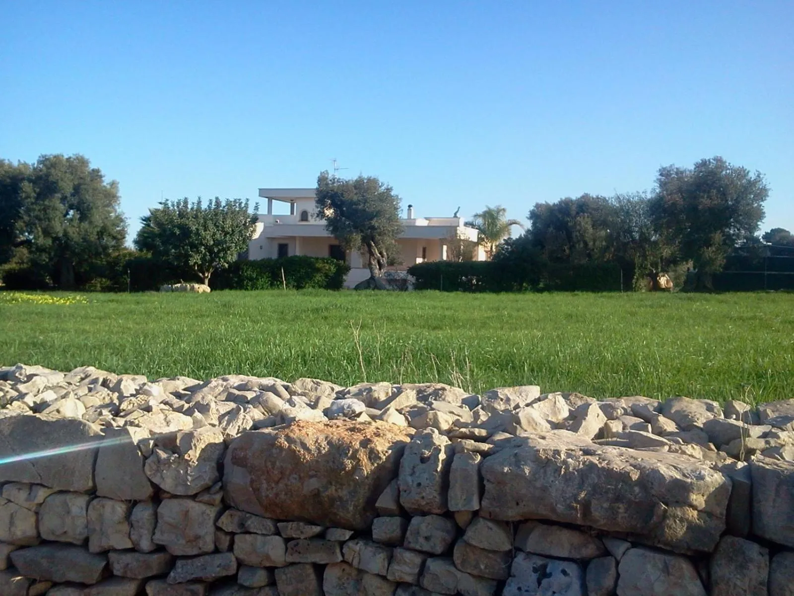 Property building in Villa Narducci