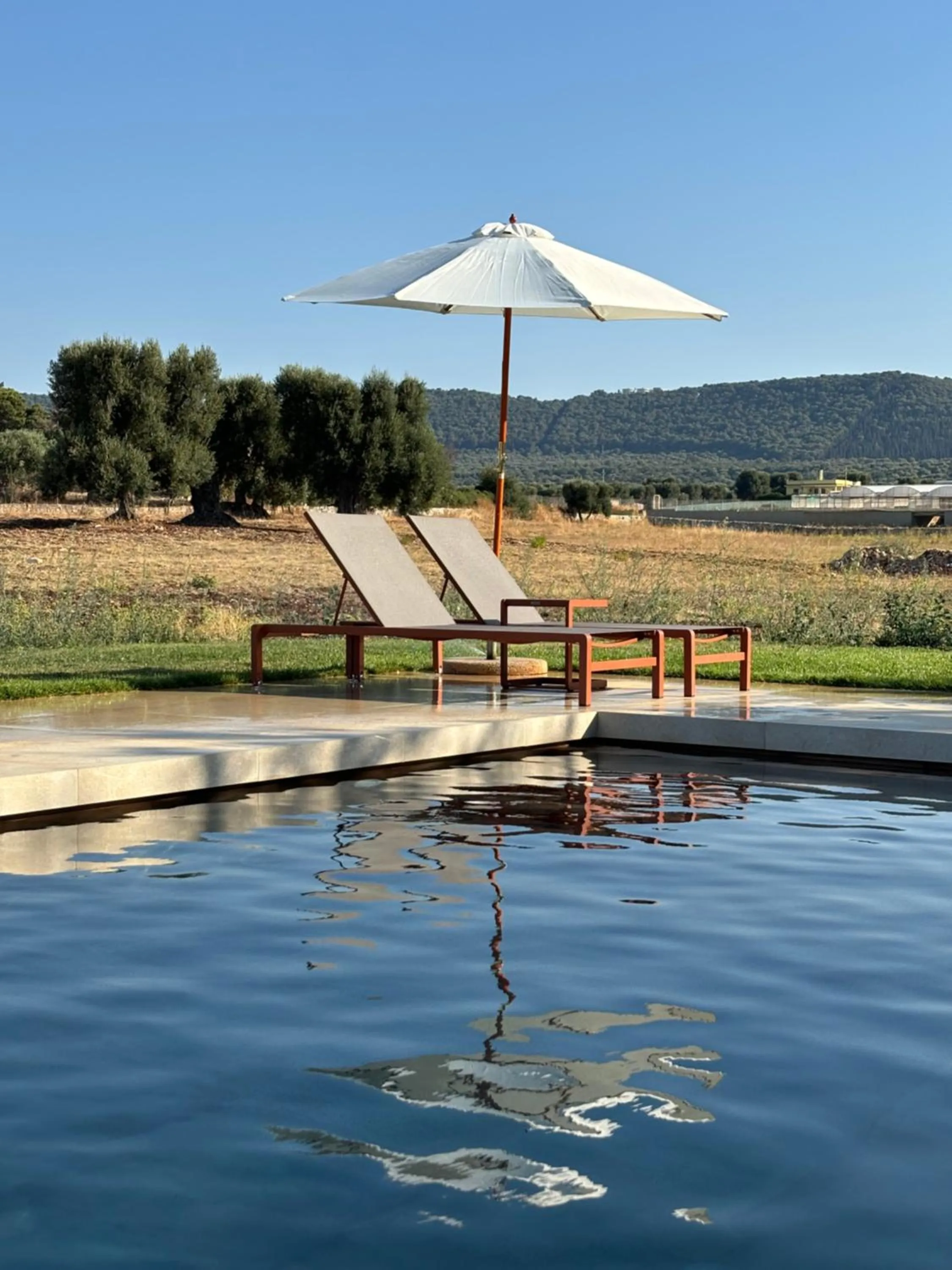 Natural landscape in Villa Narducci