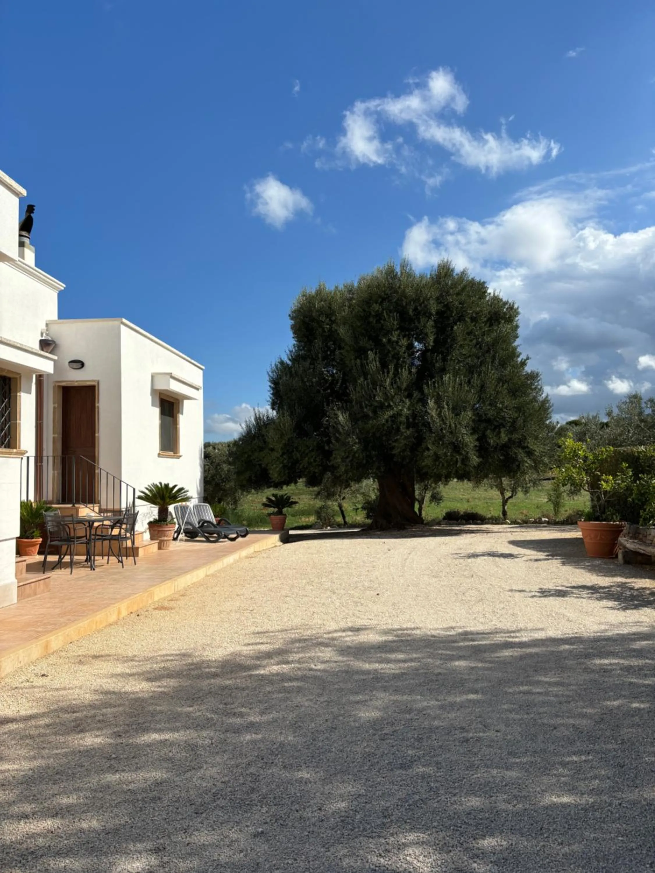 Property building in Villa Narducci