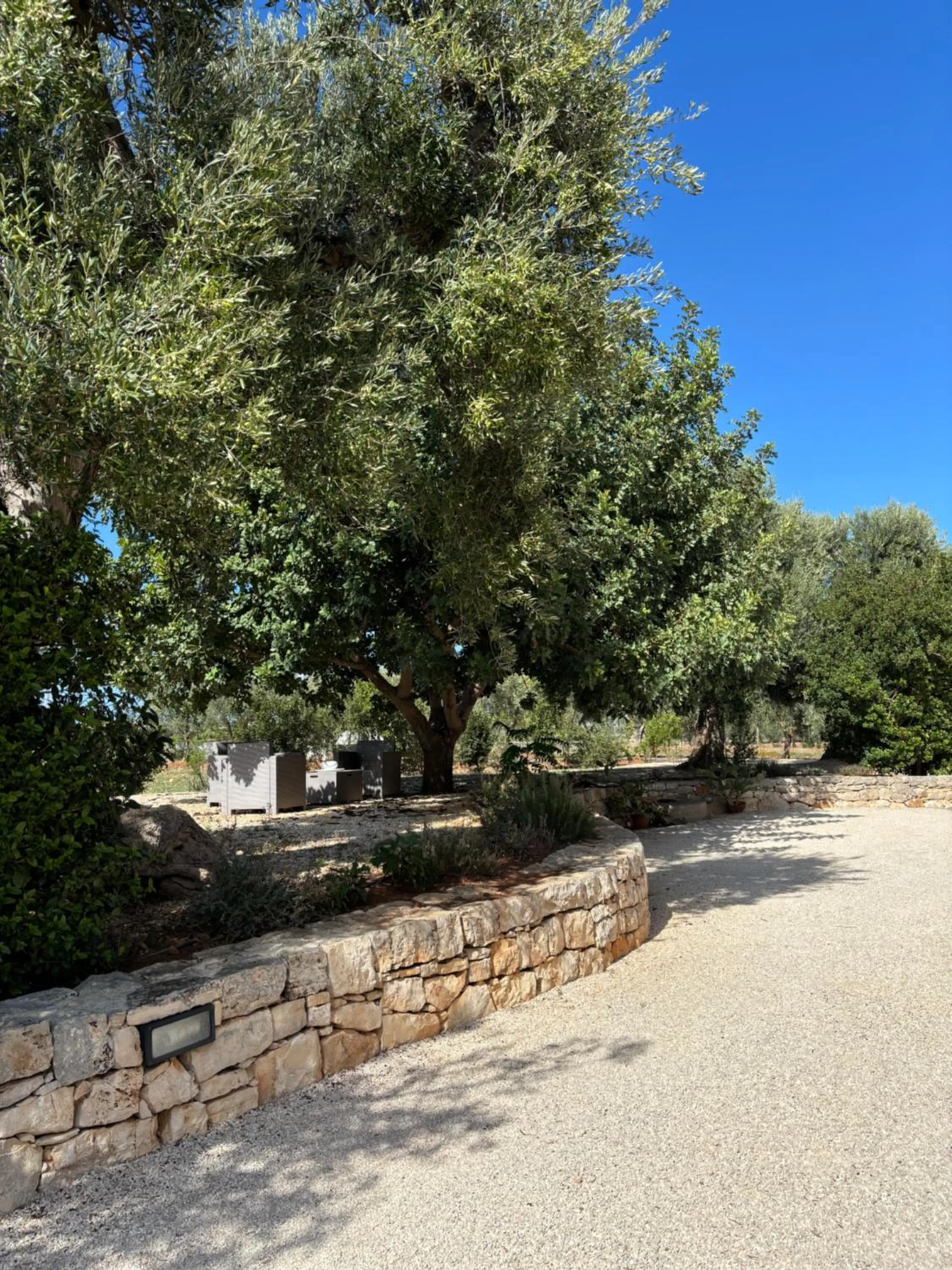 Natural landscape in Villa Narducci