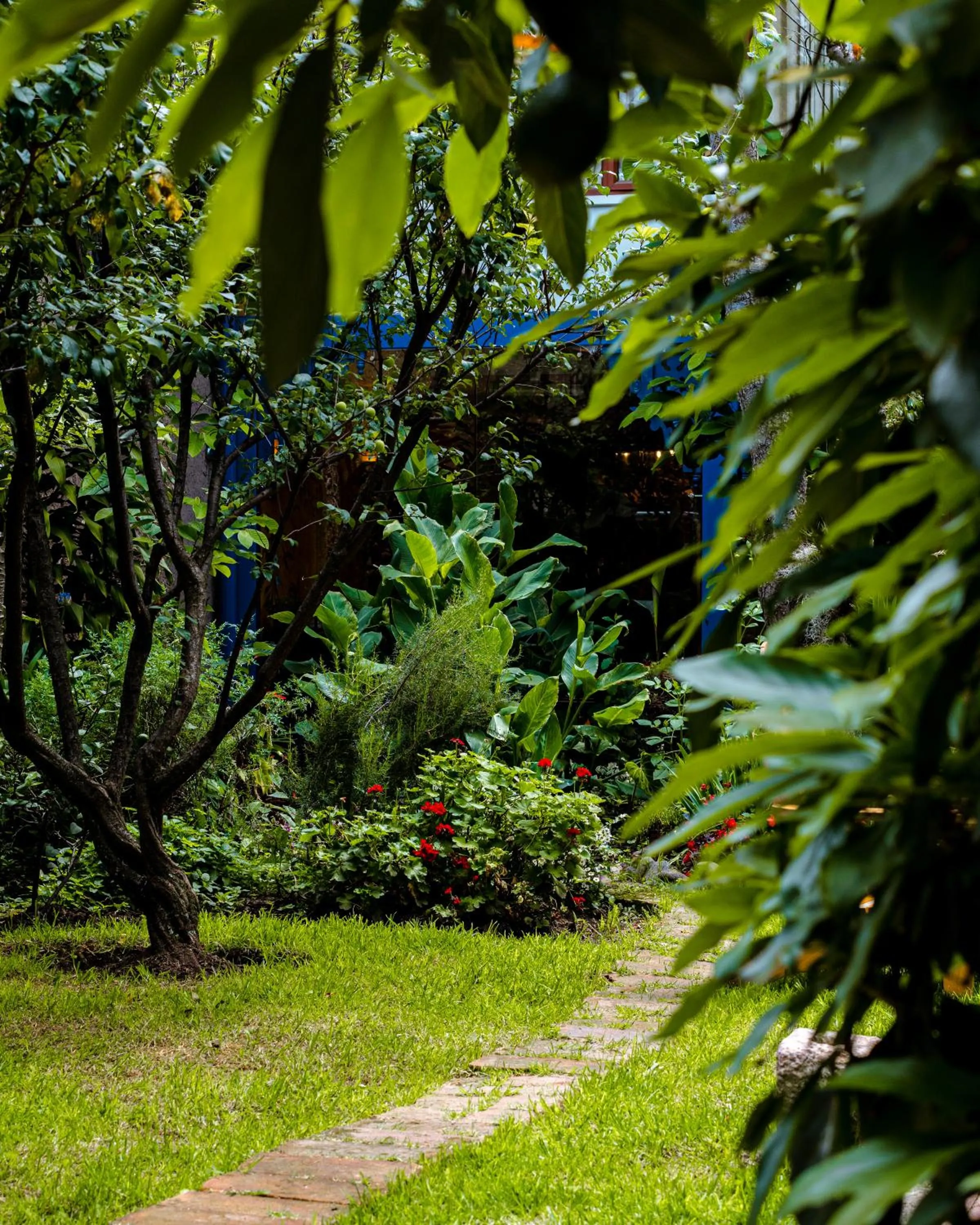 Garden in Hotel Boutique Casa Montalvo Cuenca