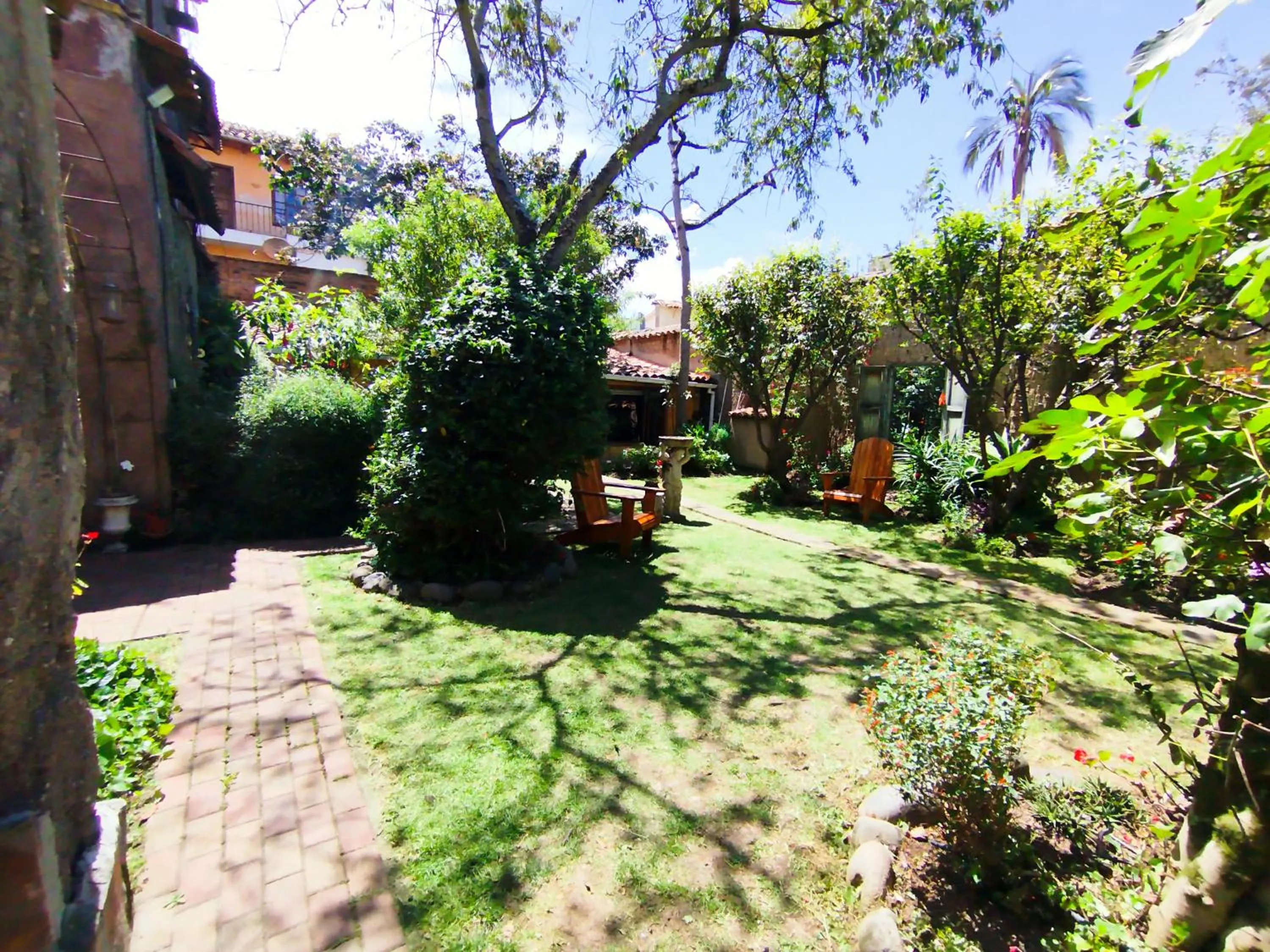 Natural landscape in Hotel Boutique Casa Montalvo Cuenca