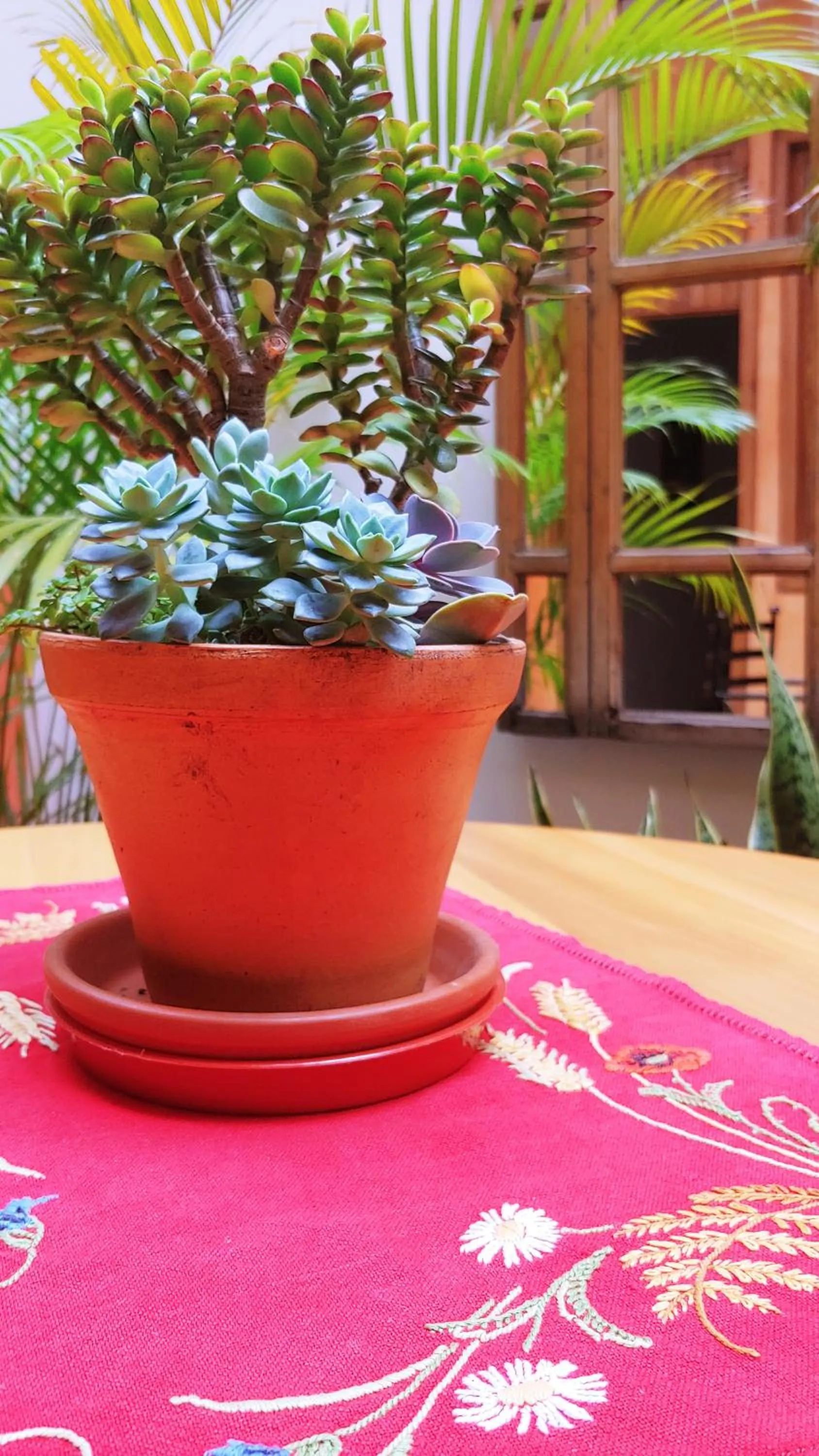 Patio in Hotel Boutique Casa Montalvo Cuenca