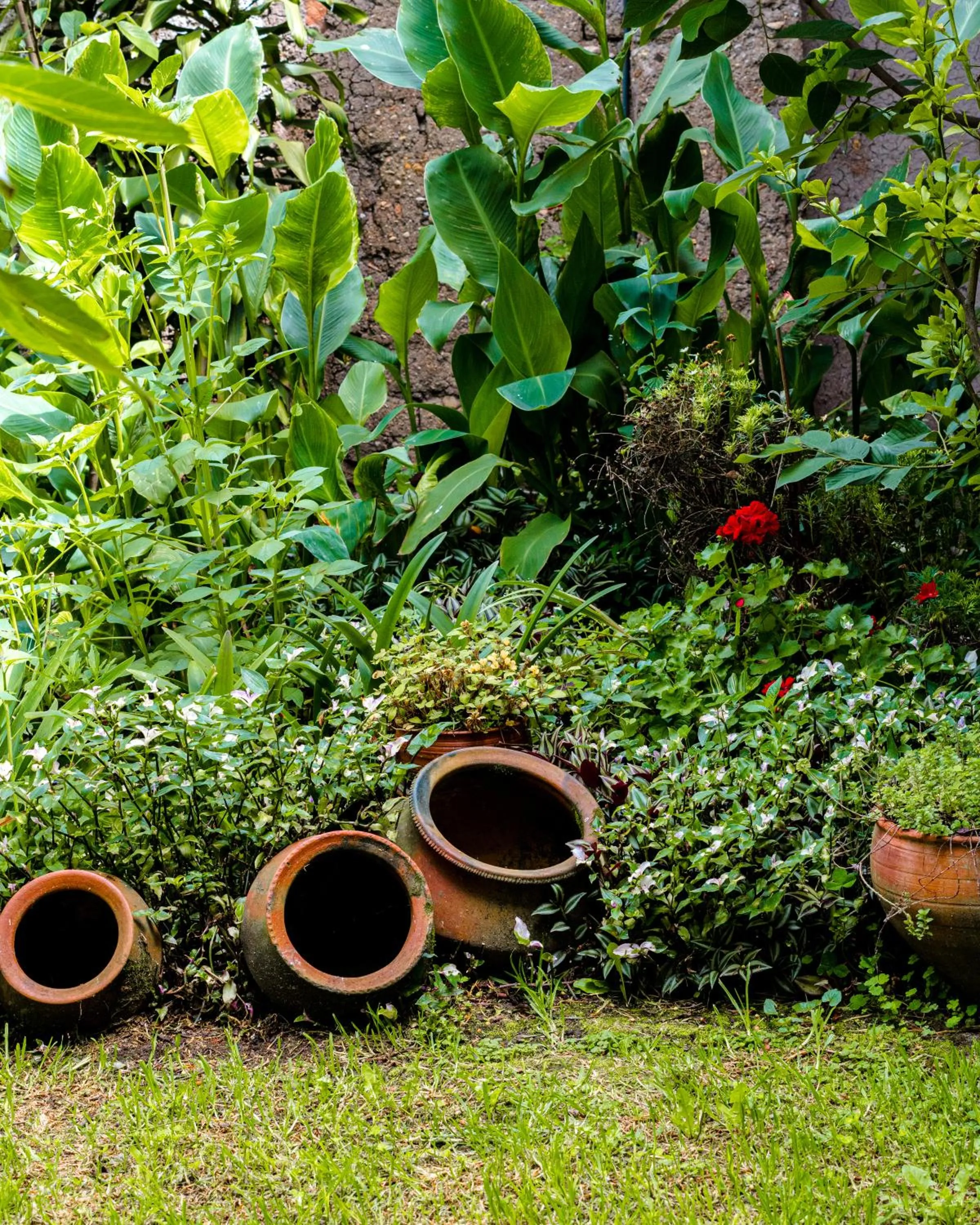 Garden in Hotel Boutique Casa Montalvo Cuenca