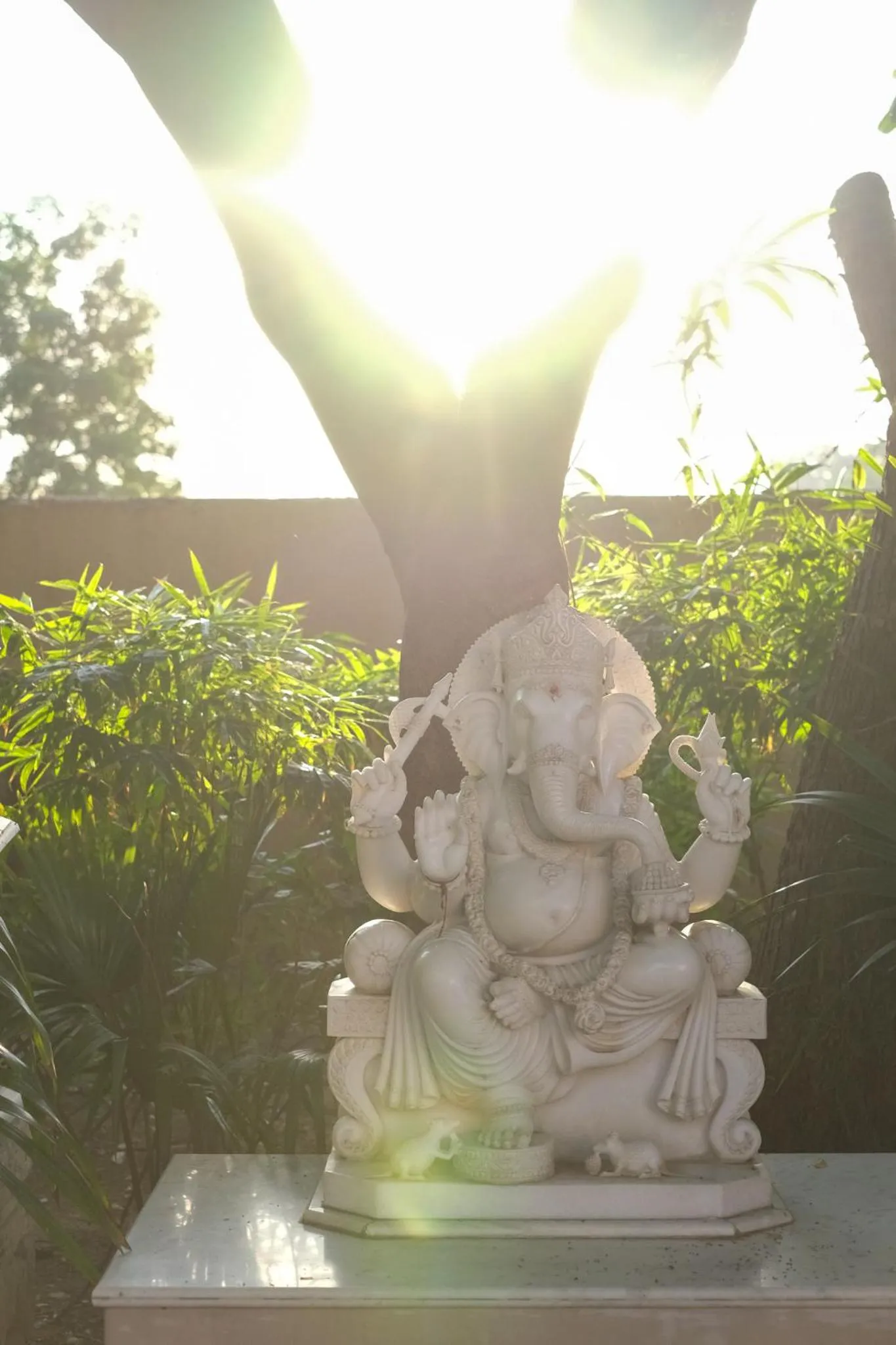 Property building in Rajmahal Palace RAAS