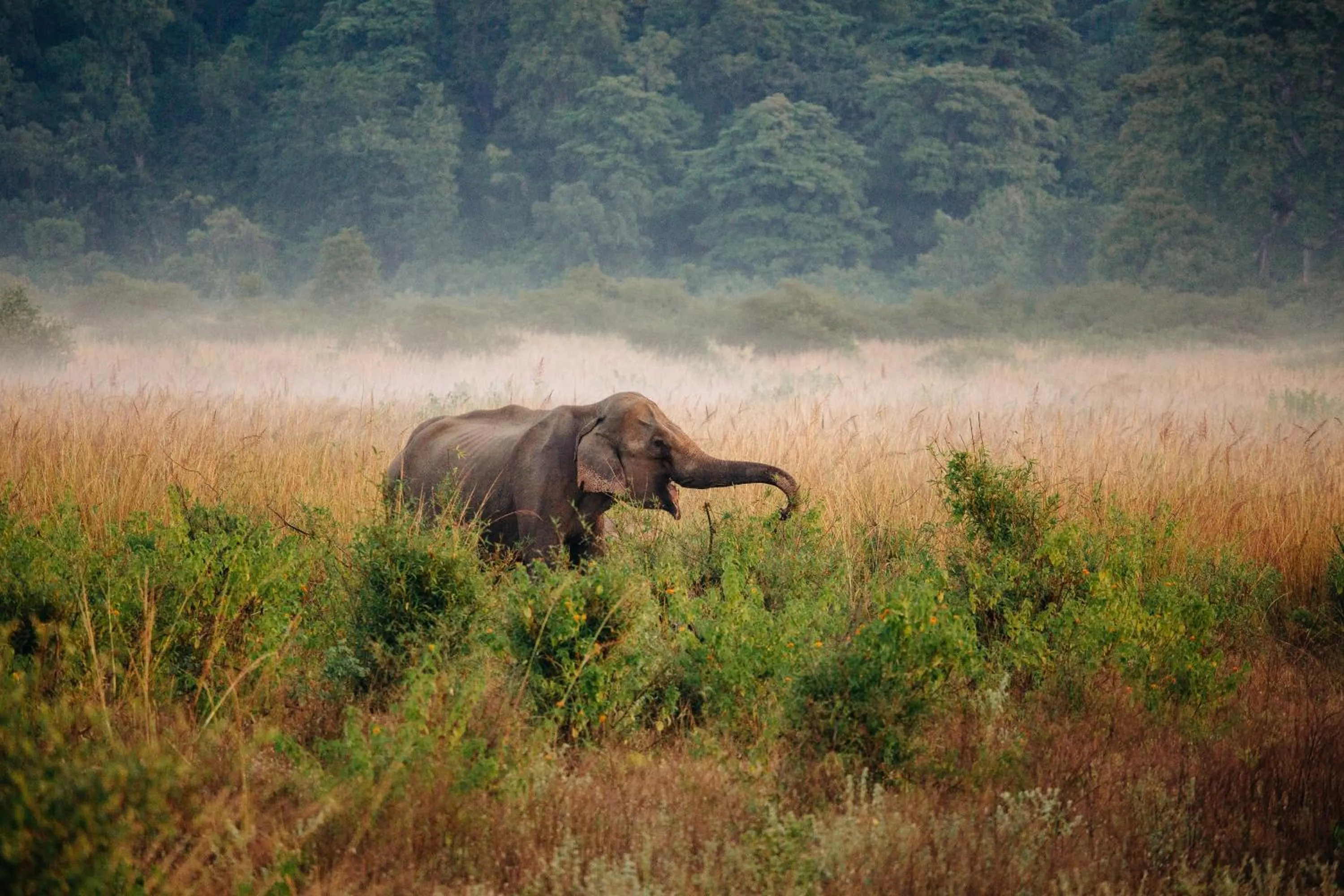 Off site in Sterling Corbett