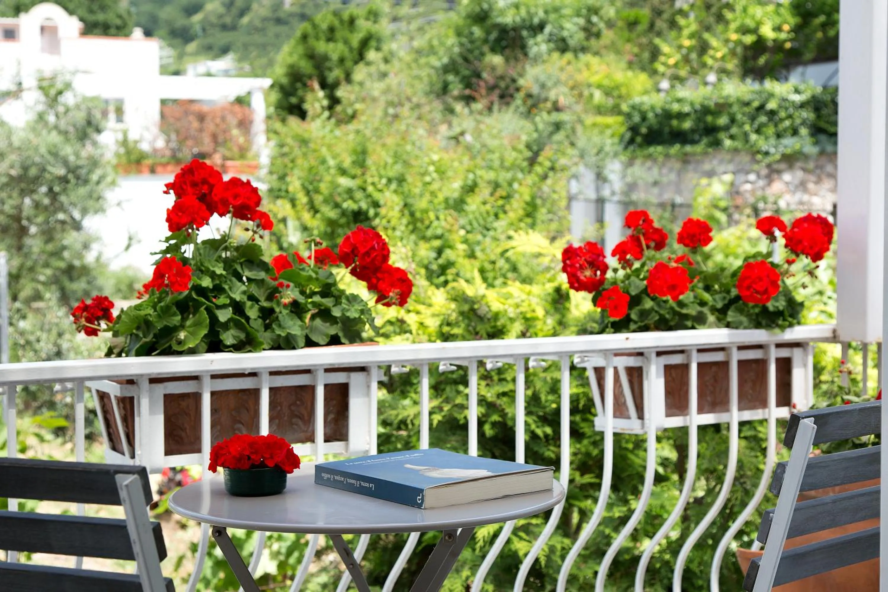 Balcony/Terrace in Riolinciano14 B&B
