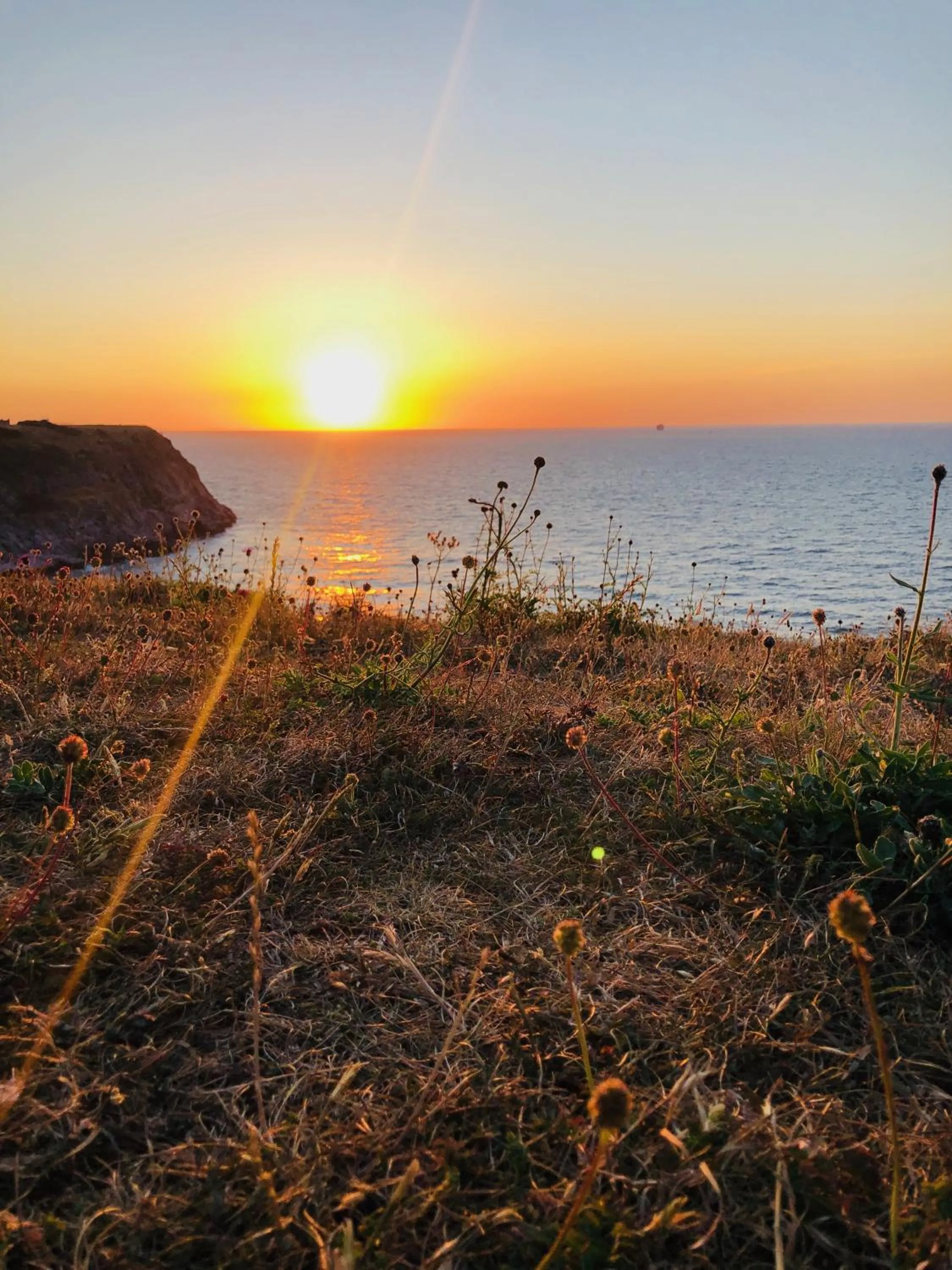 Neighbourhood in Cherry Tree Hotel