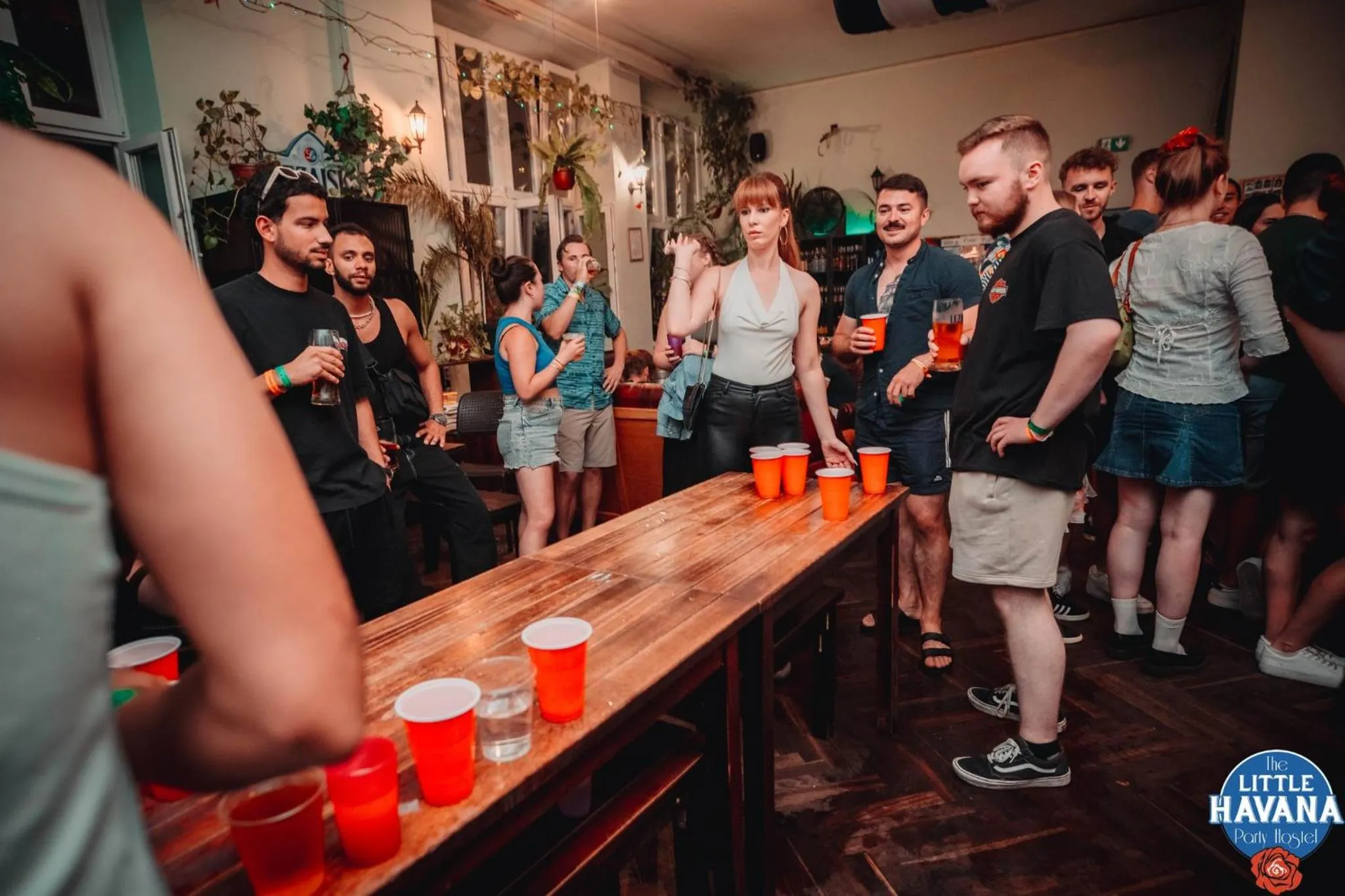 Lounge or bar in The Little Havana Party Hostel