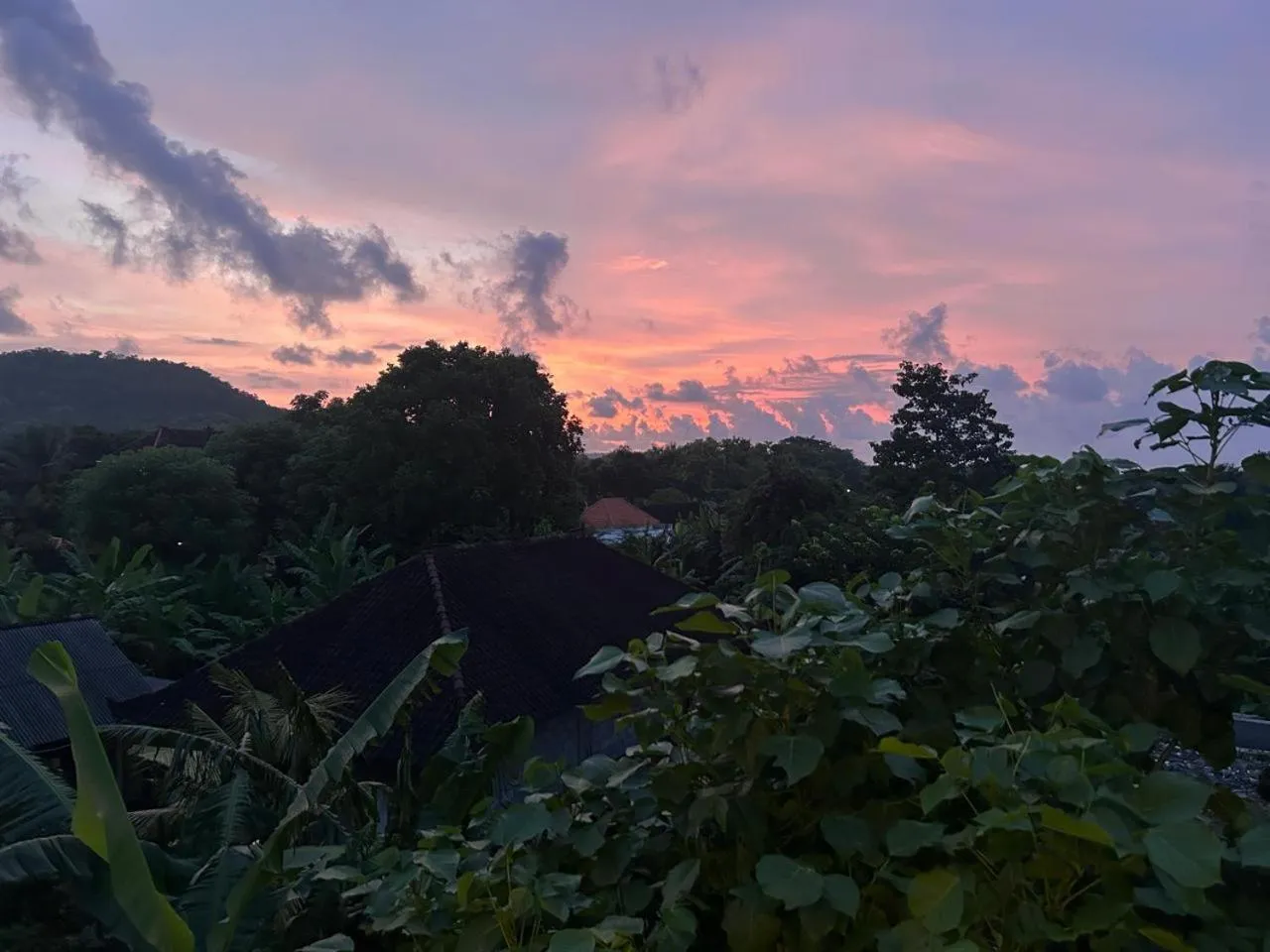 Natural landscape in Alit Guest House