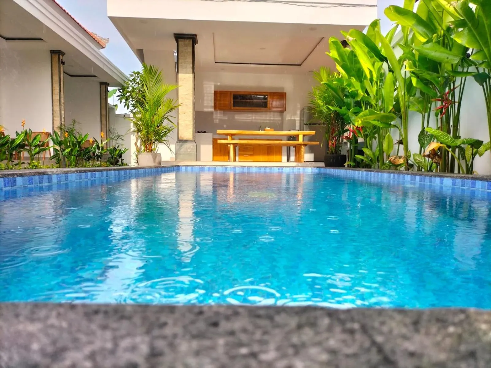 Swimming pool in Alit Guest House
