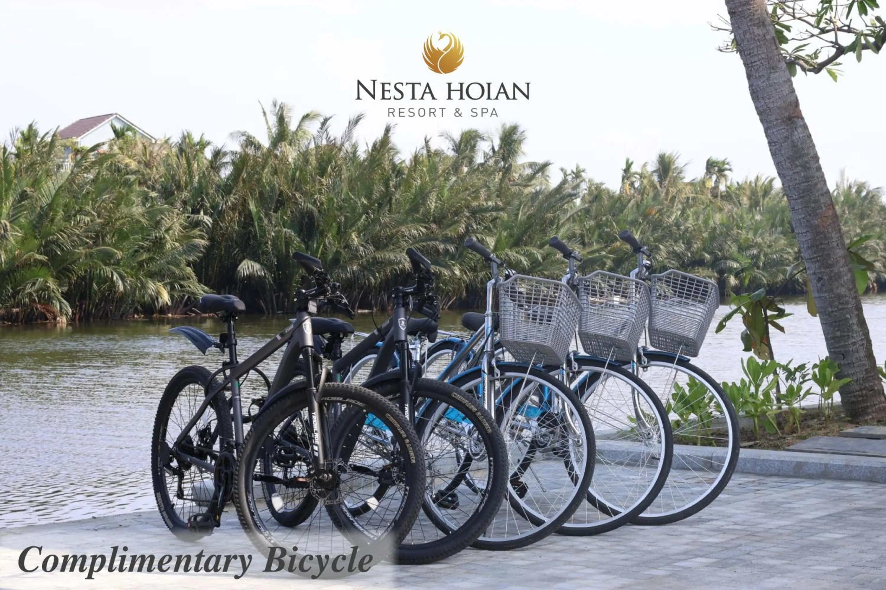 Natural landscape in Nesta Hoian Resort & Spa