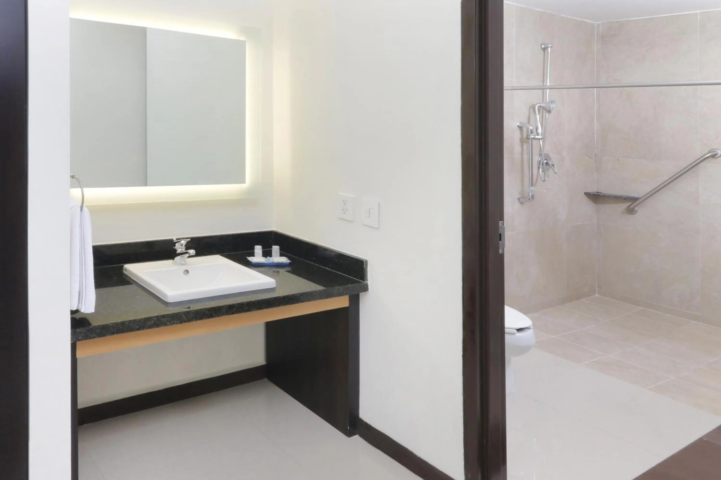 Bathroom in Holiday Inn Express - Tuxpan by IHG