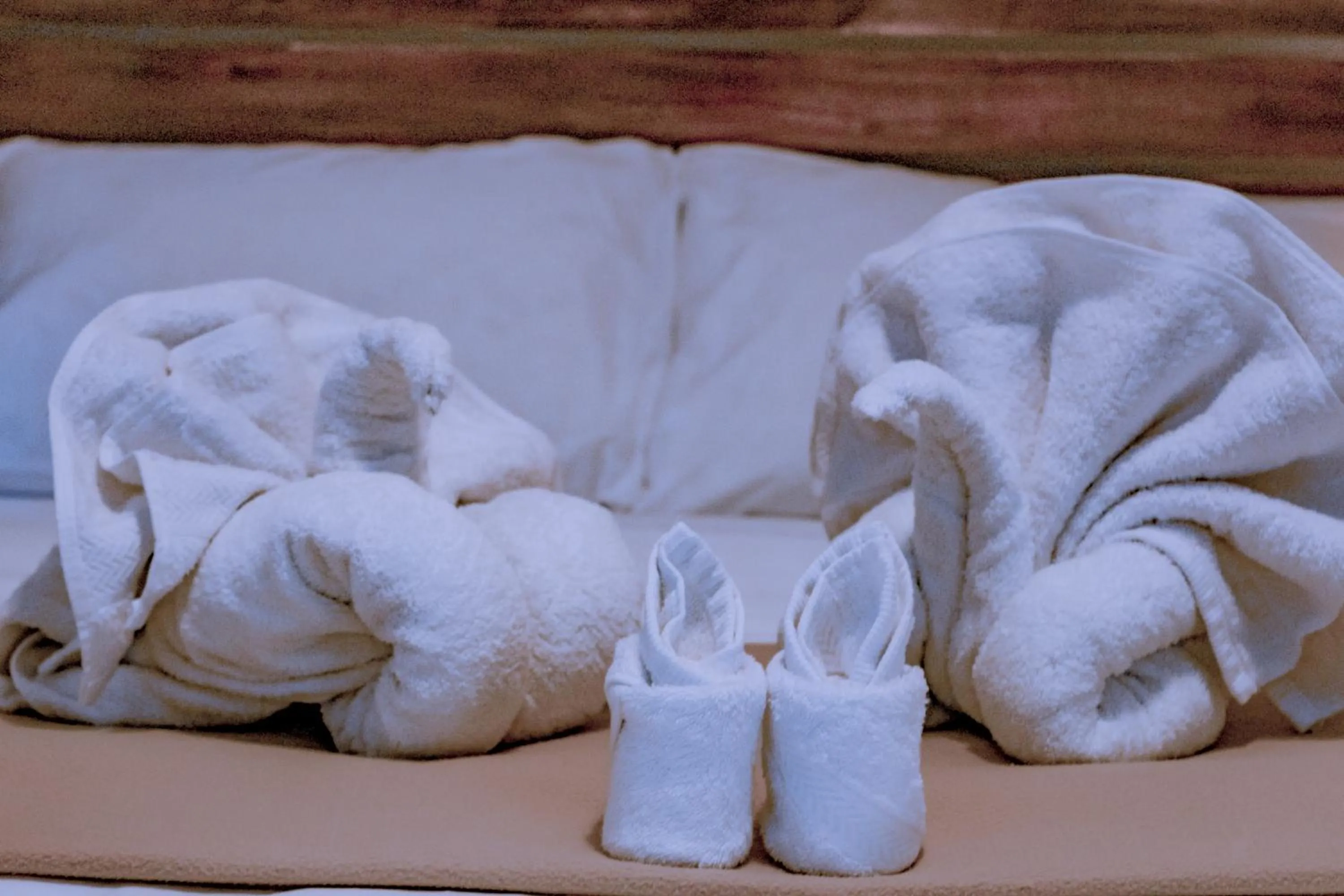 Bed in Seasta Beach Resort