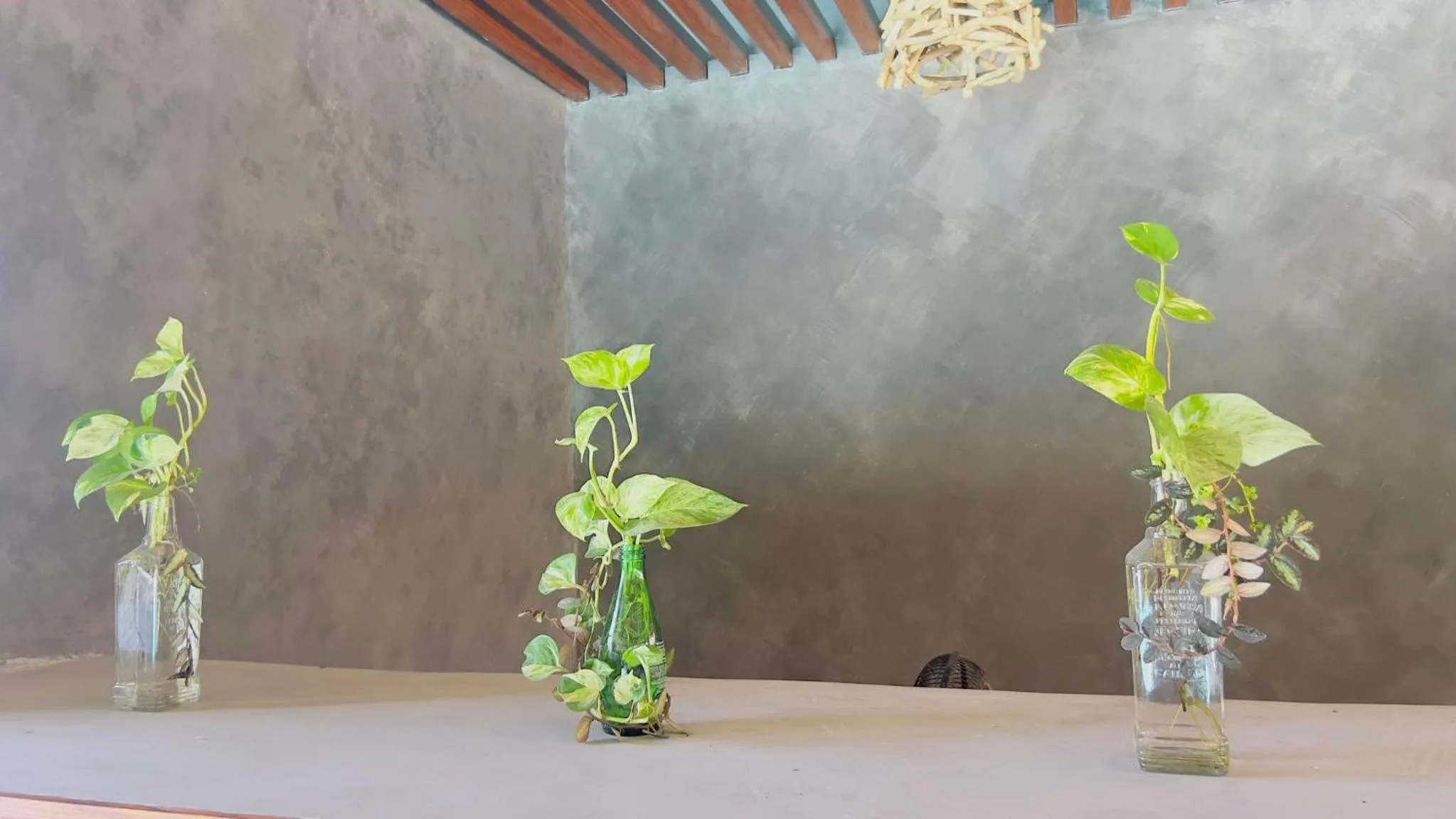 Lobby or reception in Seasta Beach Resort