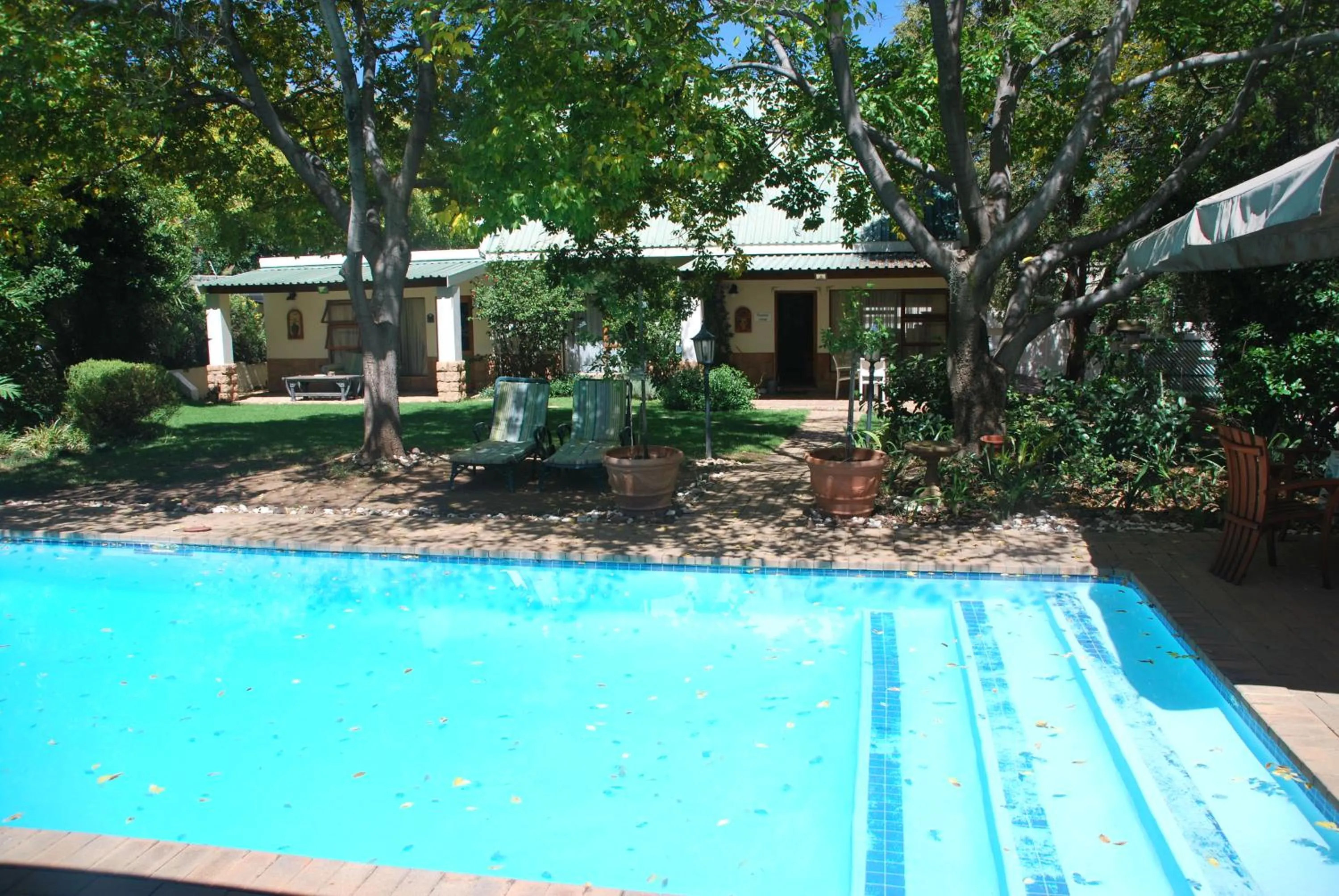 Swimming pool in Sunninghill Guest Lodges