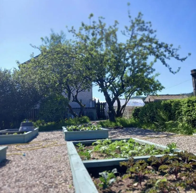 Garden in The Station Hotel