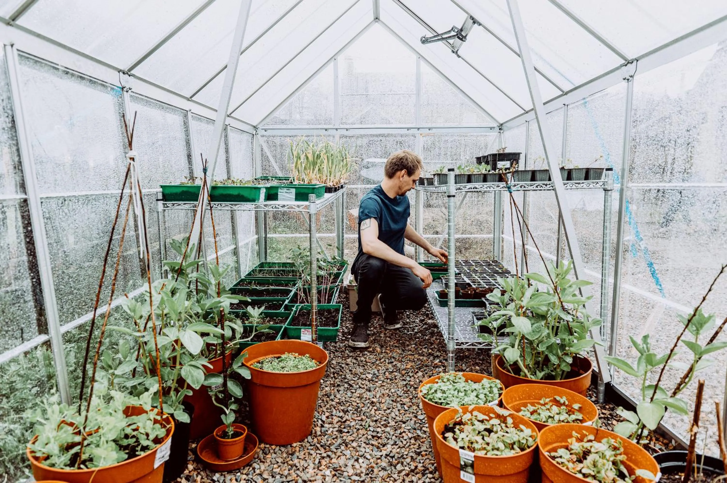 Garden in The Station Hotel