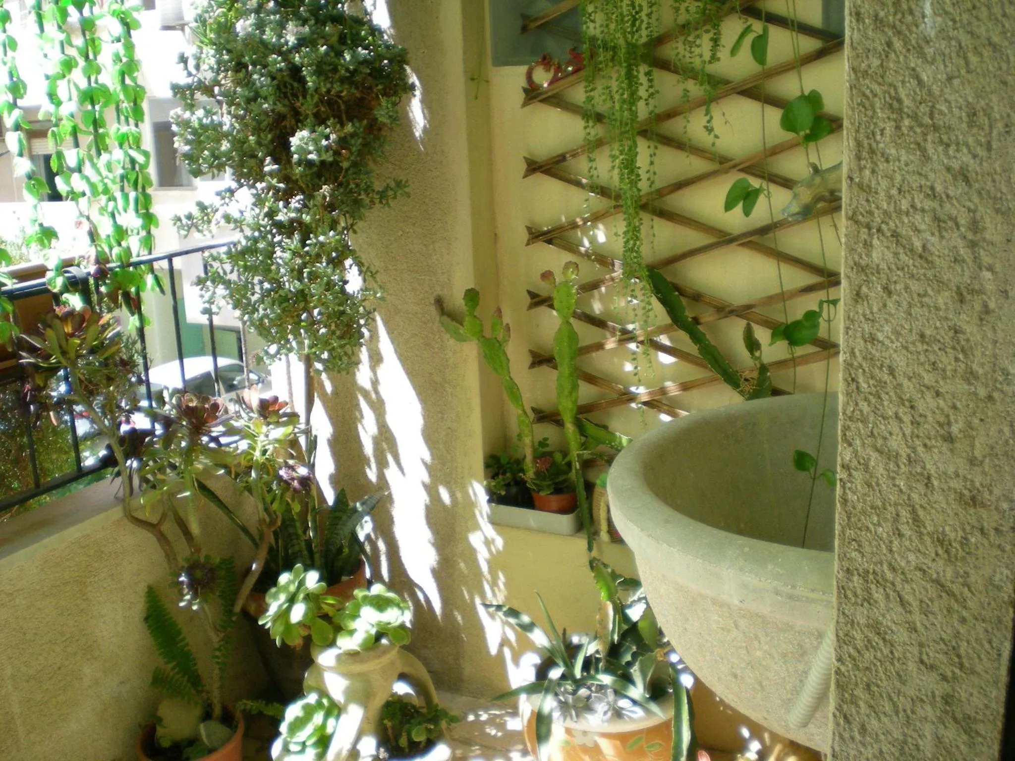 On site in Orizzonte B&B