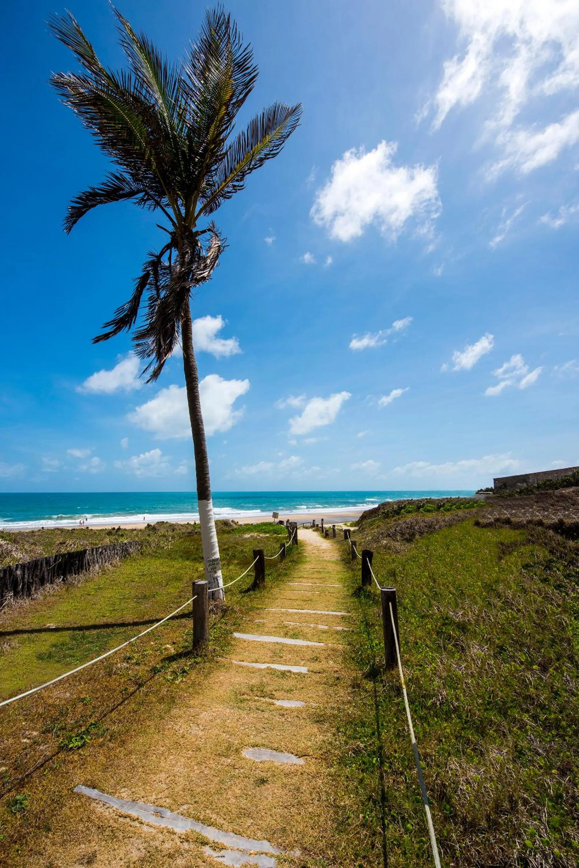 Beach in Coliseum Beach Hotel All Inclusive