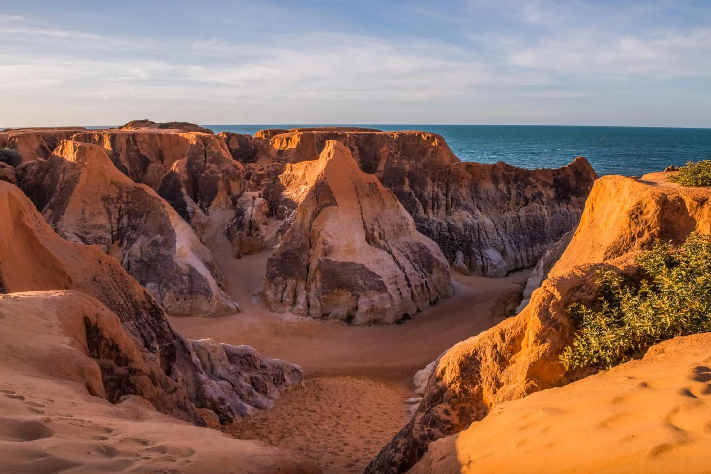 Area and facilities in Coliseum Beach Hotel All Inclusive