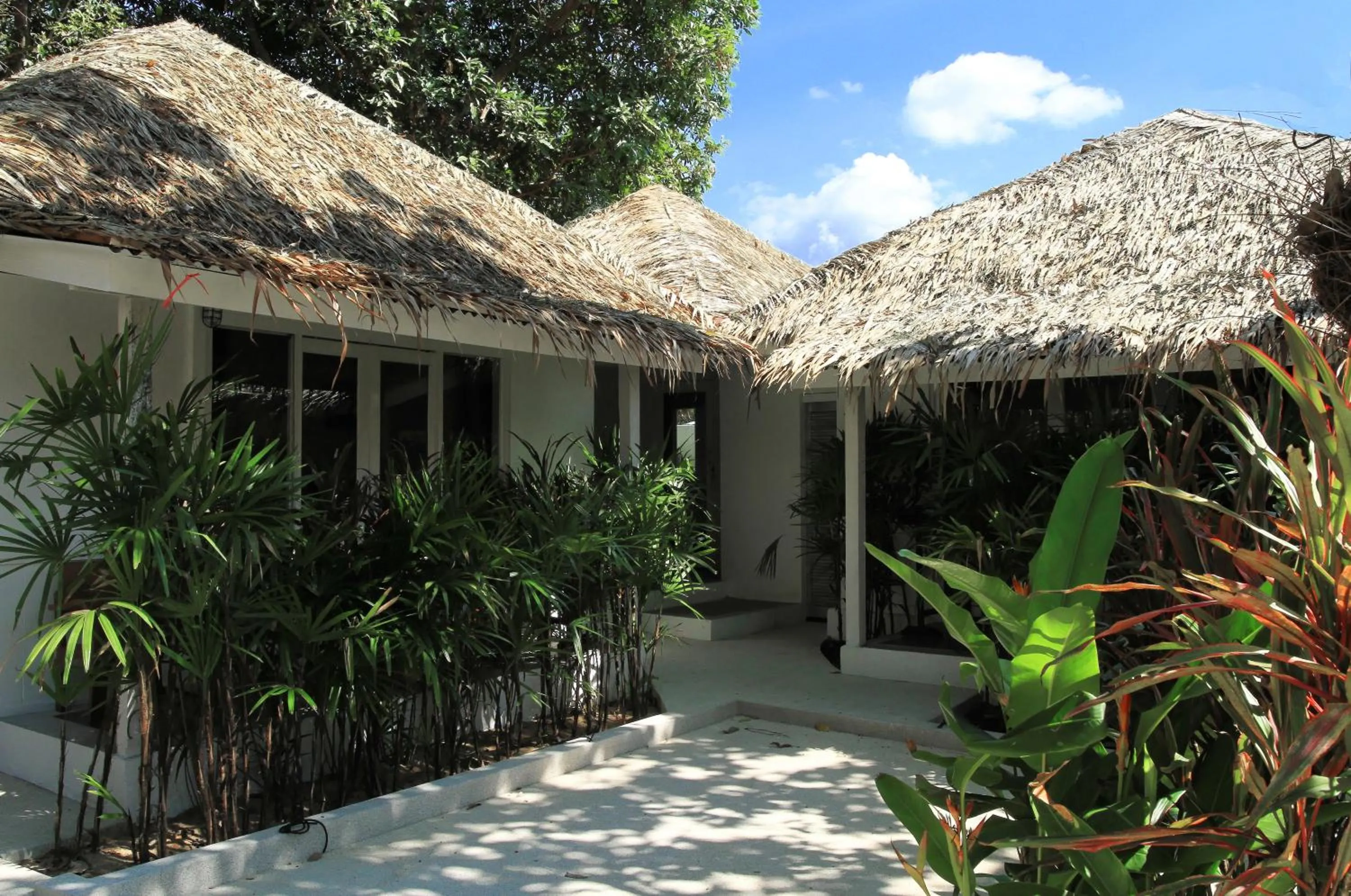 Garden view in The White Cottage