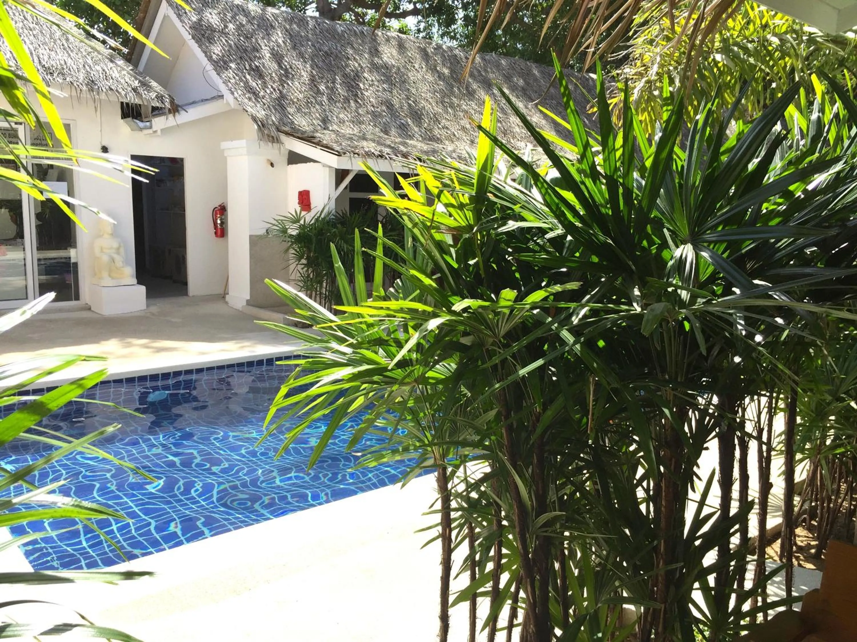 Swimming pool in The White Cottage