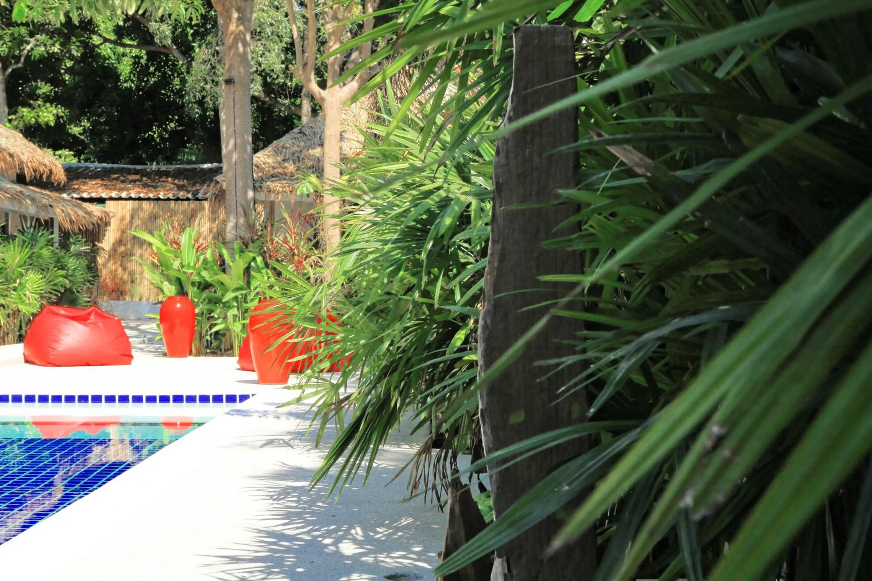 Garden view in The White Cottage