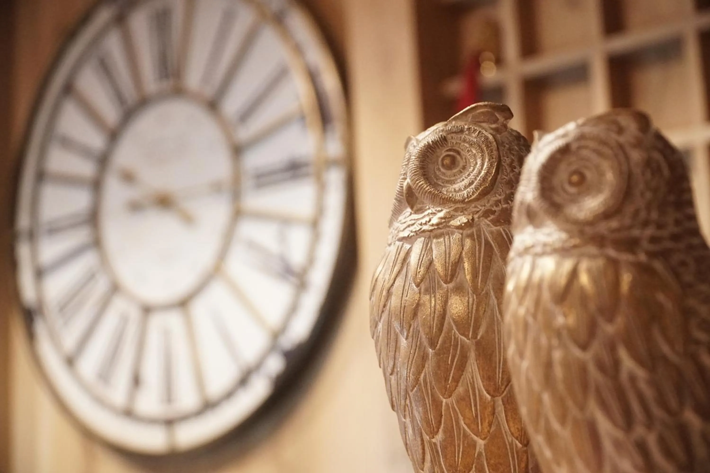 Lobby or reception in Xenonas Iresioni