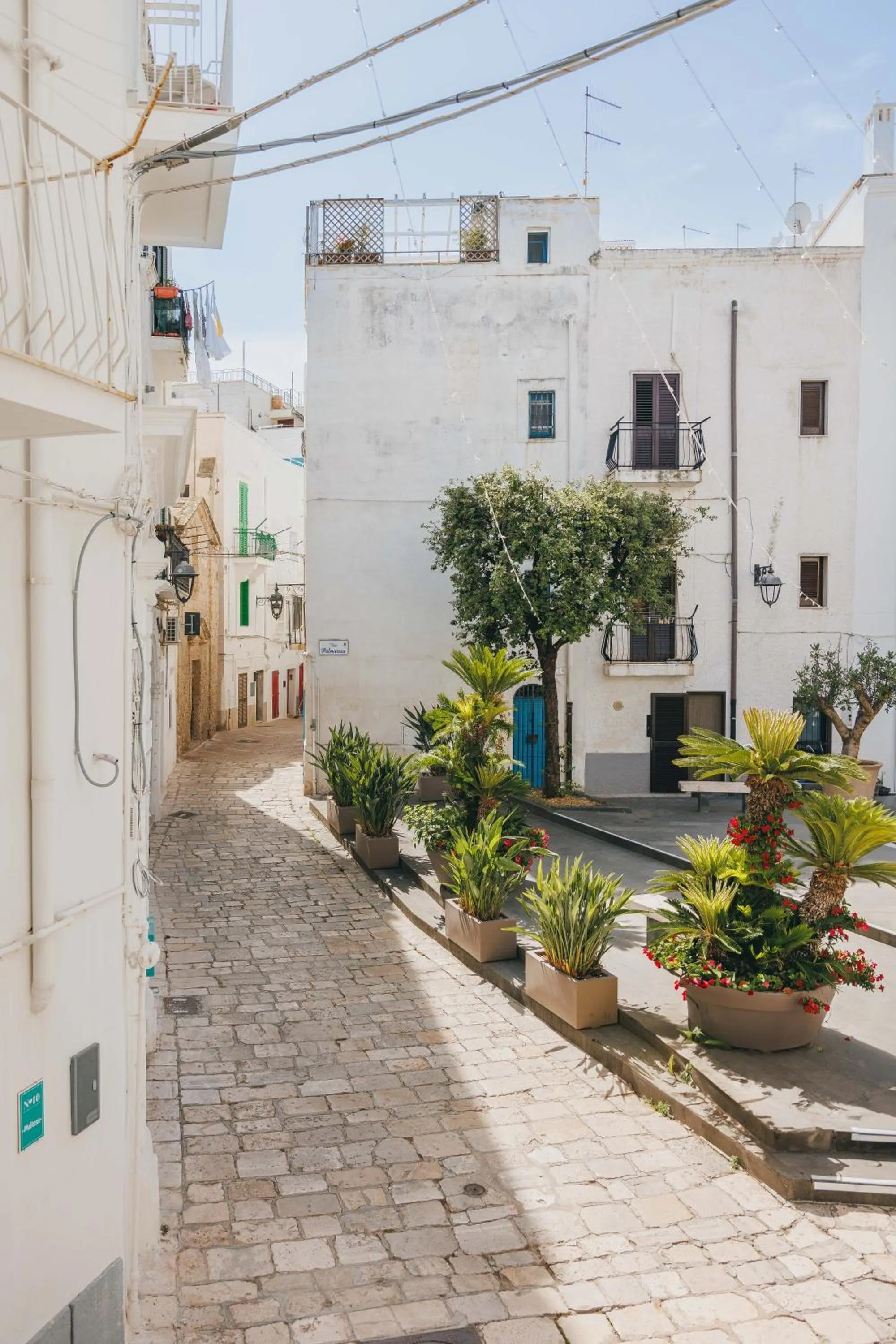 Neighbourhood in Santa Maria 24