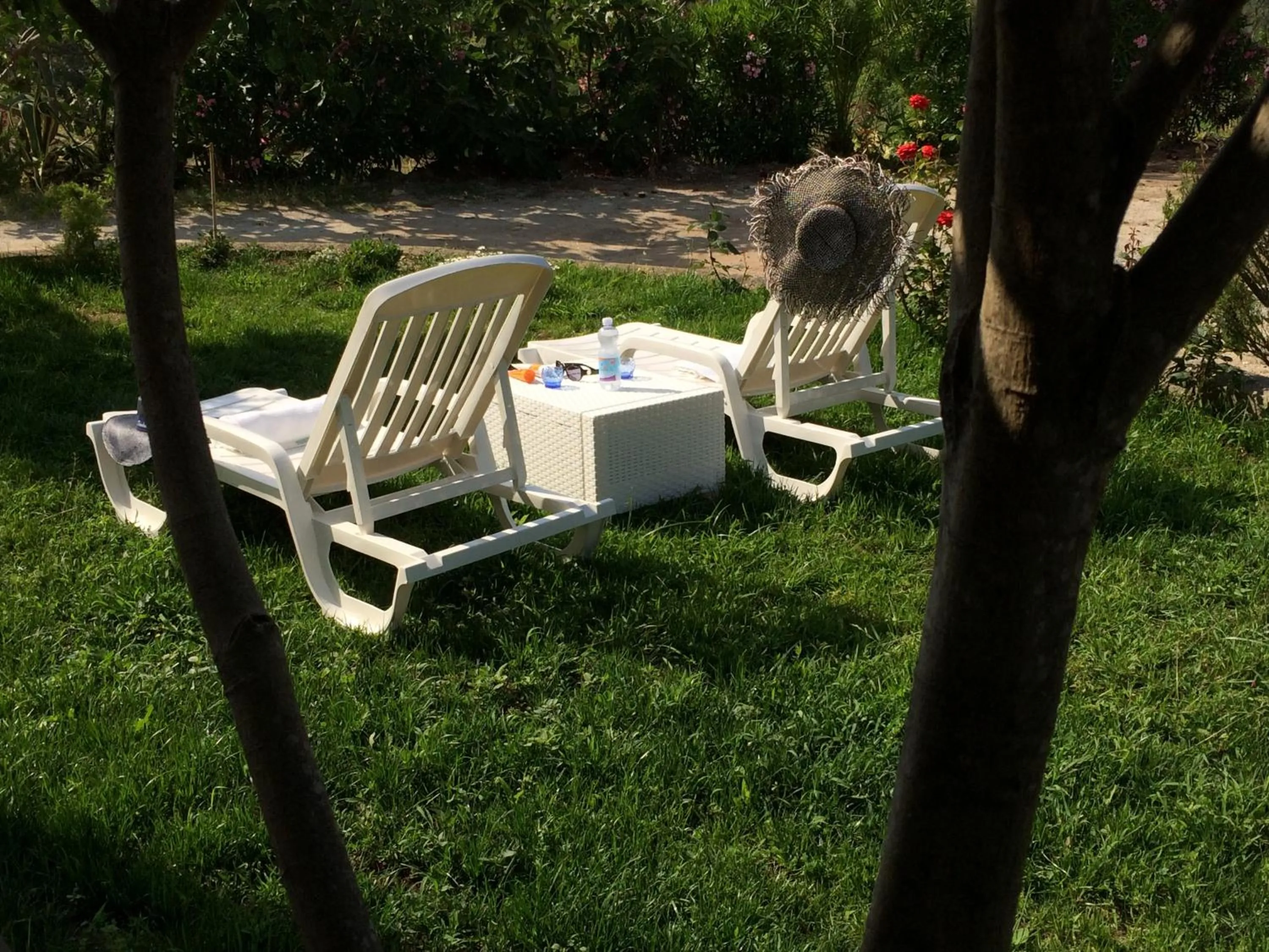 Garden in B&B A casa di Picci