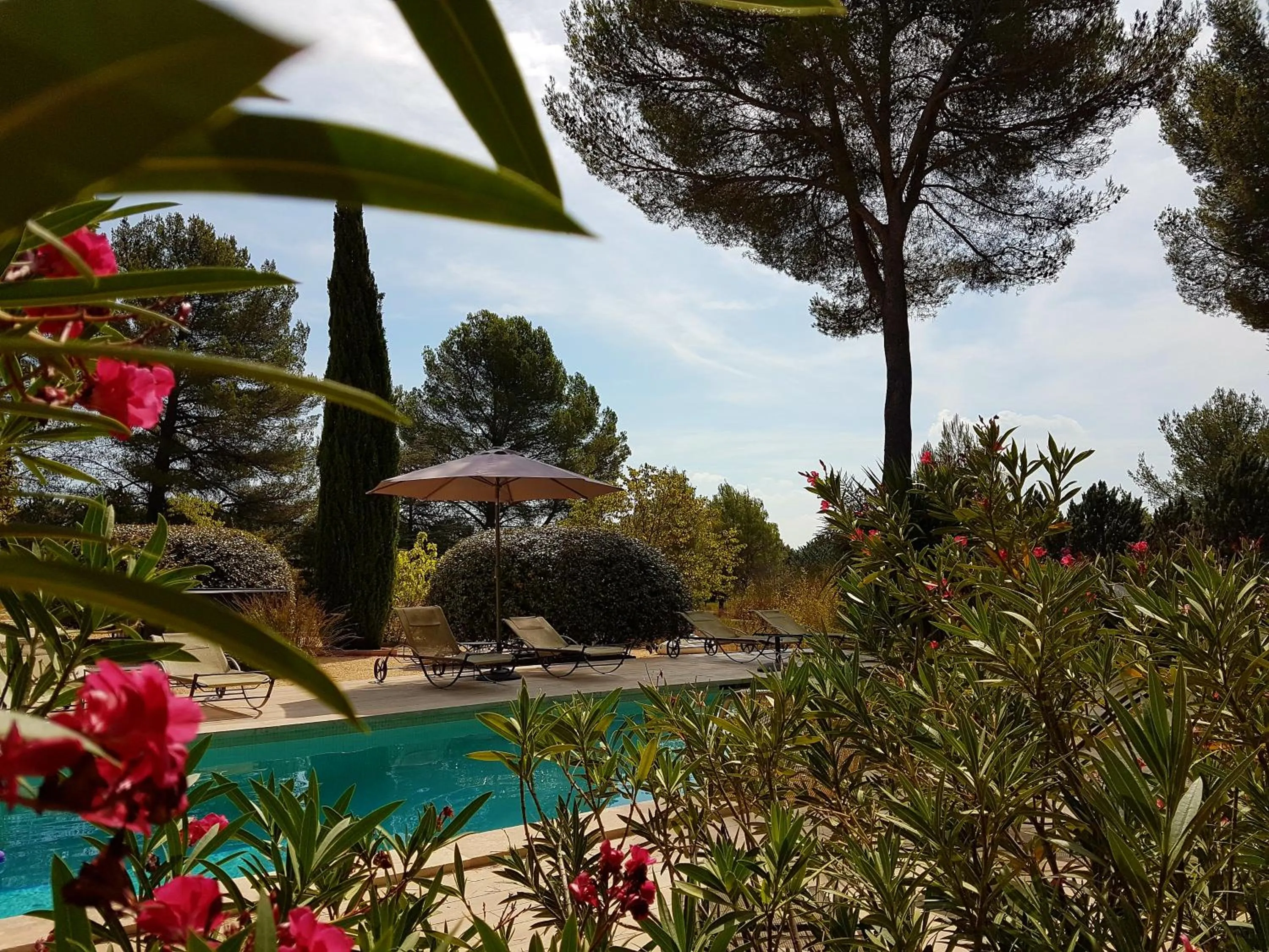 Garden in Les Mazets du Luberon